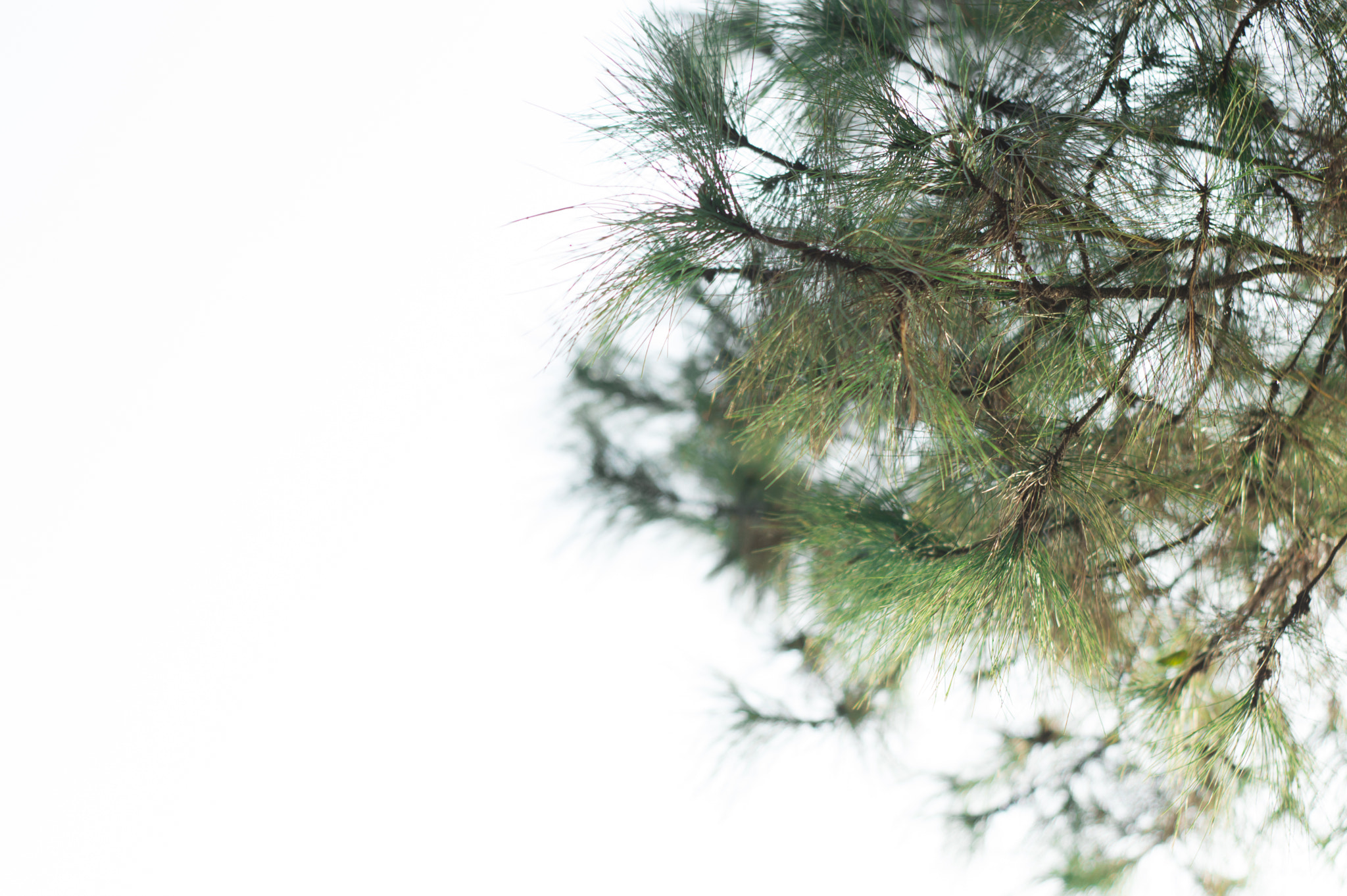 Nikon D3200 sample photo