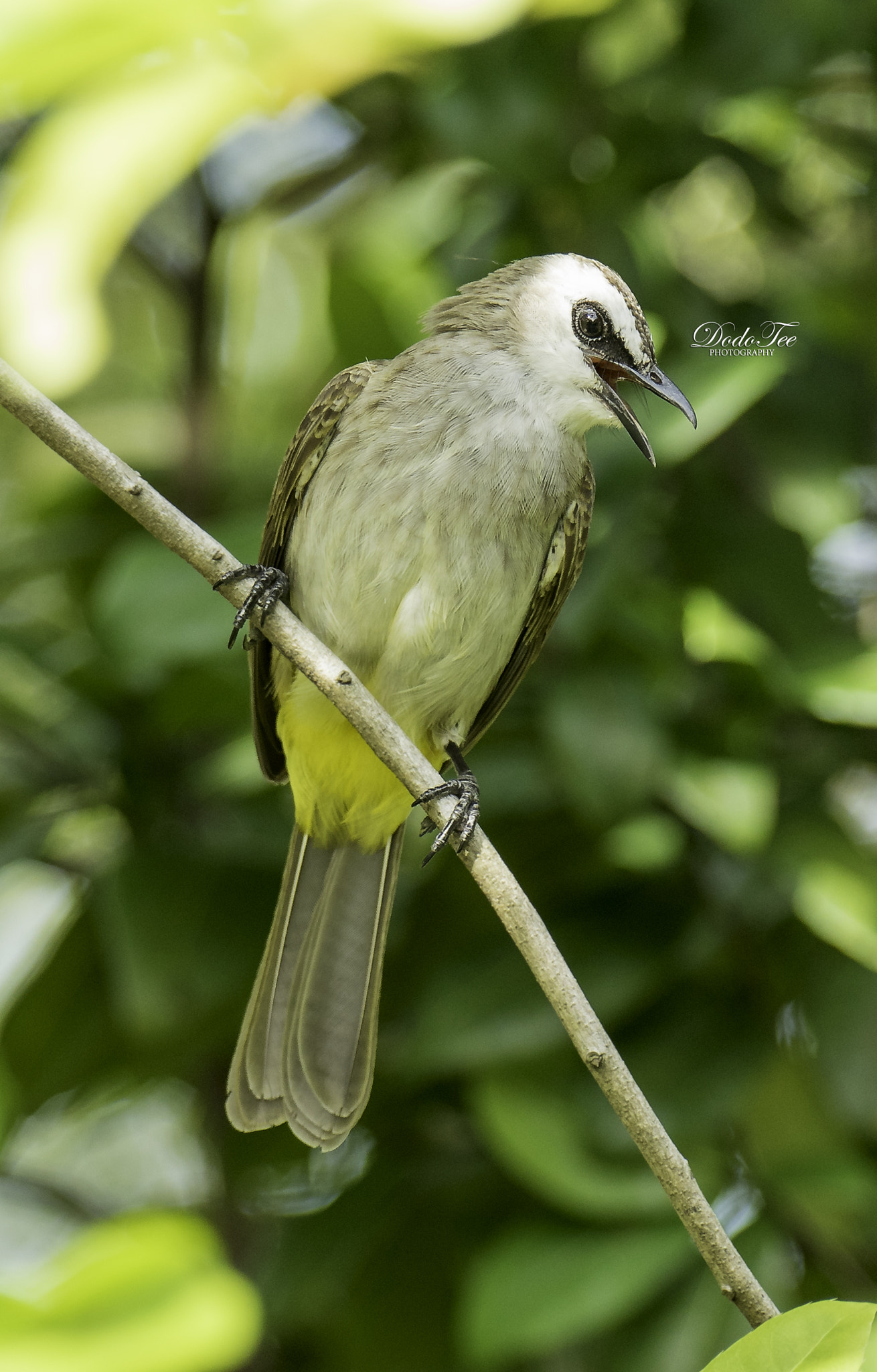 Sony 70-400mm F4-5.6 G SSM II sample photo
