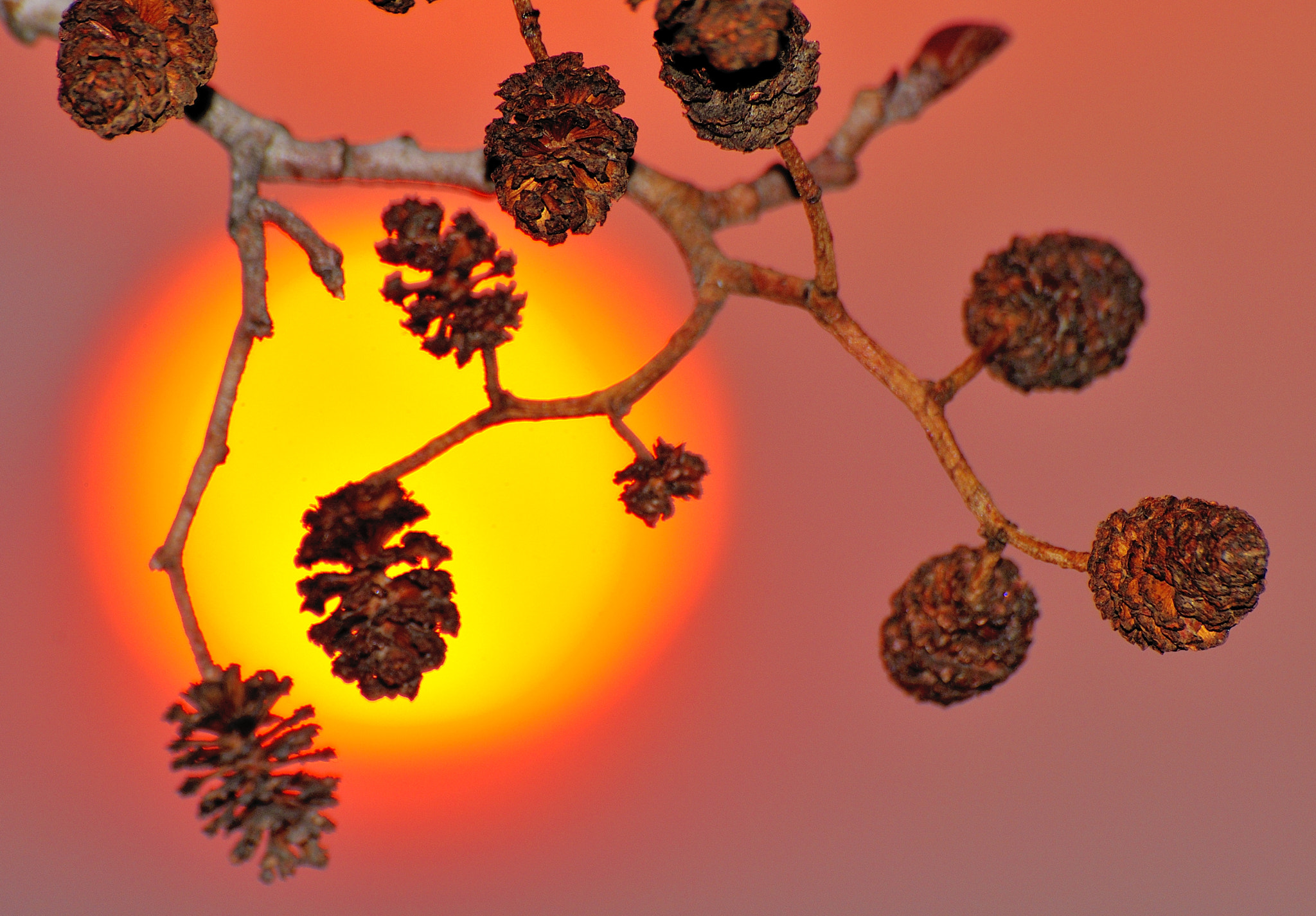 Nikon D5000 sample photo. Sunset time photography