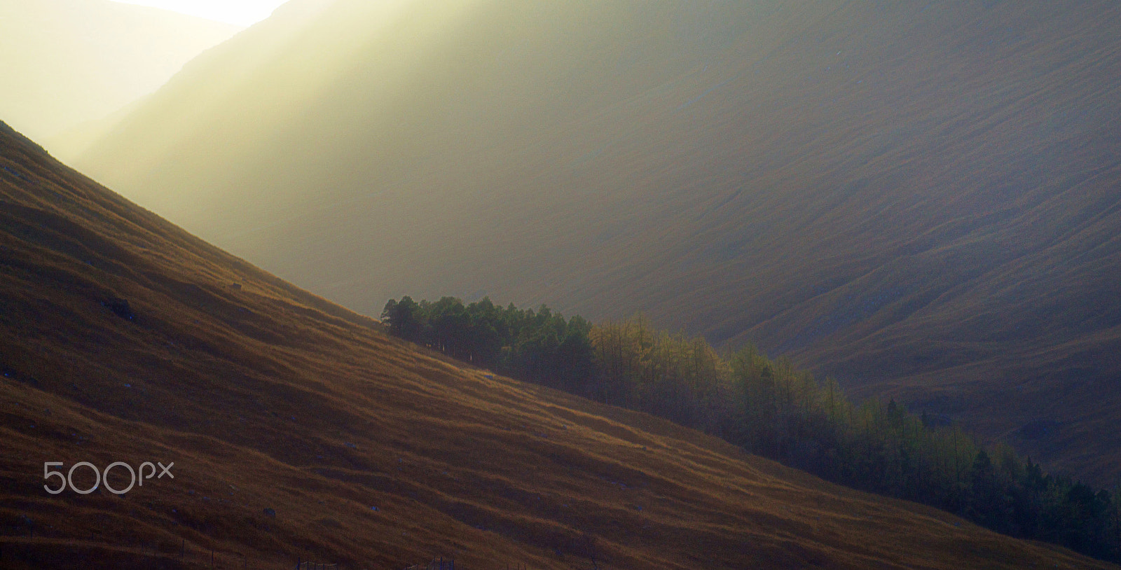 Sony 75-300mm F4.5-5.6 sample photo. Evening light photography