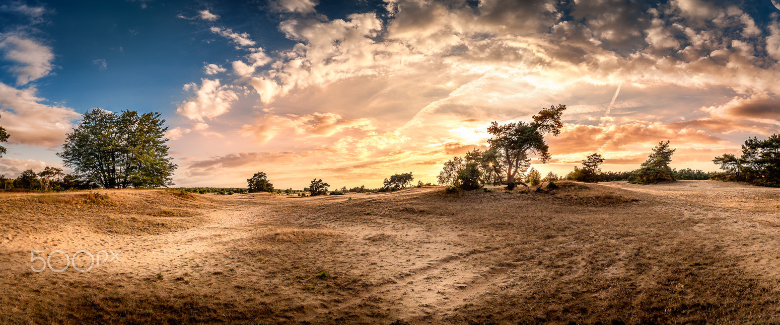 Sigma 12-24mm F4.5-5.6 EX DG Aspherical HSM sample photo. Panorama posbank photography