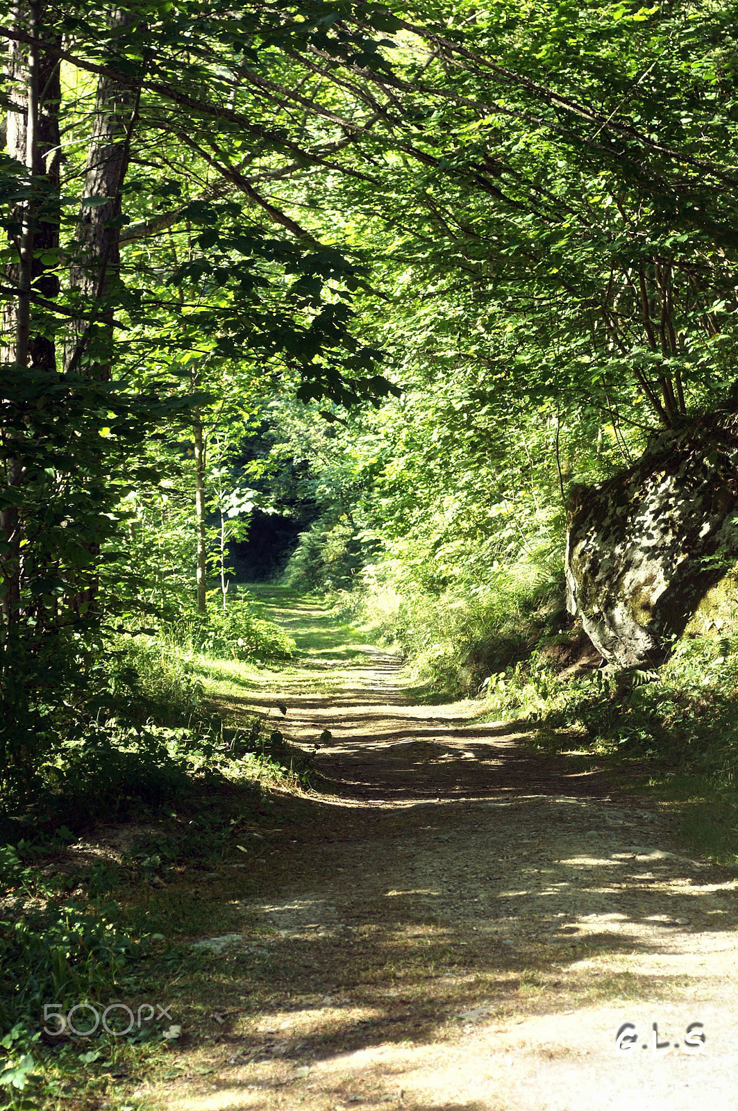 Minolta AF 50mm F3.5 Macro sample photo. Marcher sous les ombrages photography