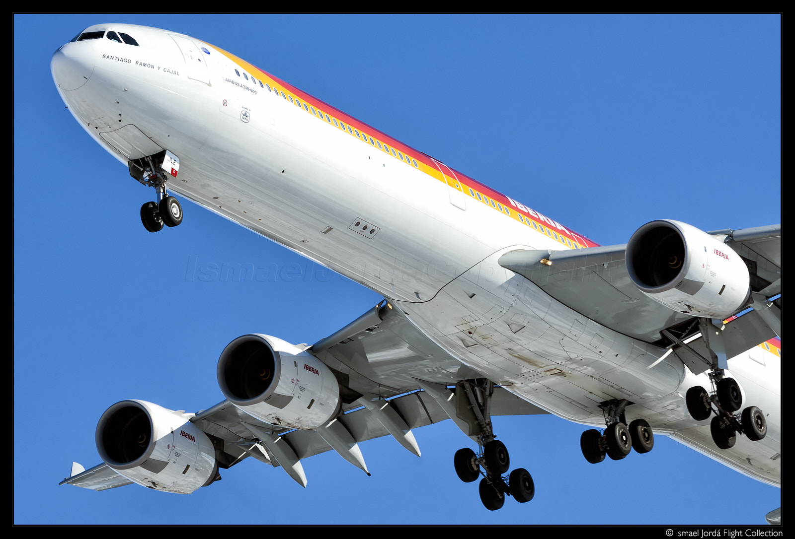 Nikon D2X sample photo. A340-600 iberia (2009) photography