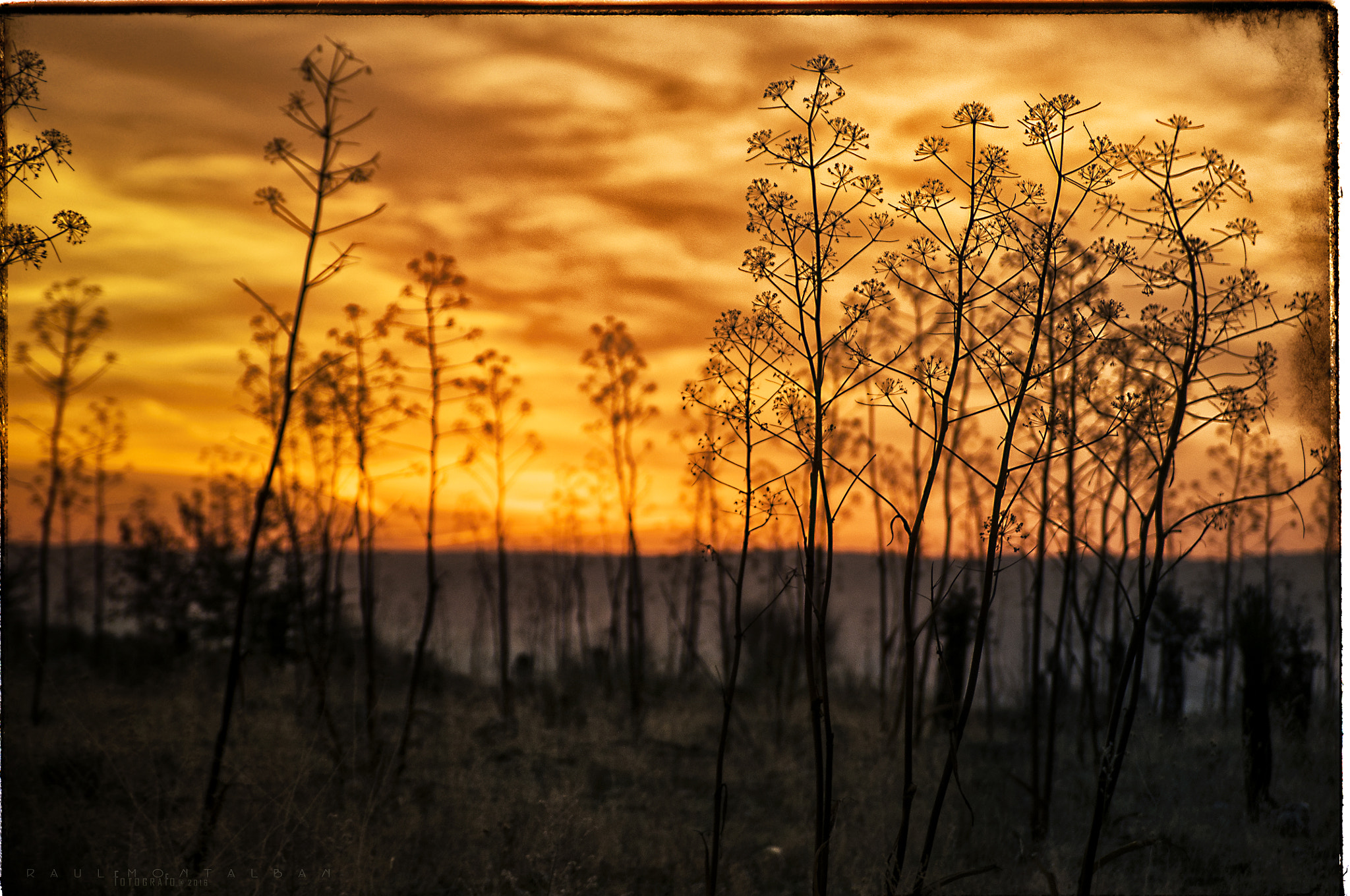 AF Zoom-Nikkor 28-105mm f/3.5-4.5D IF sample photo. ..amanece... photography