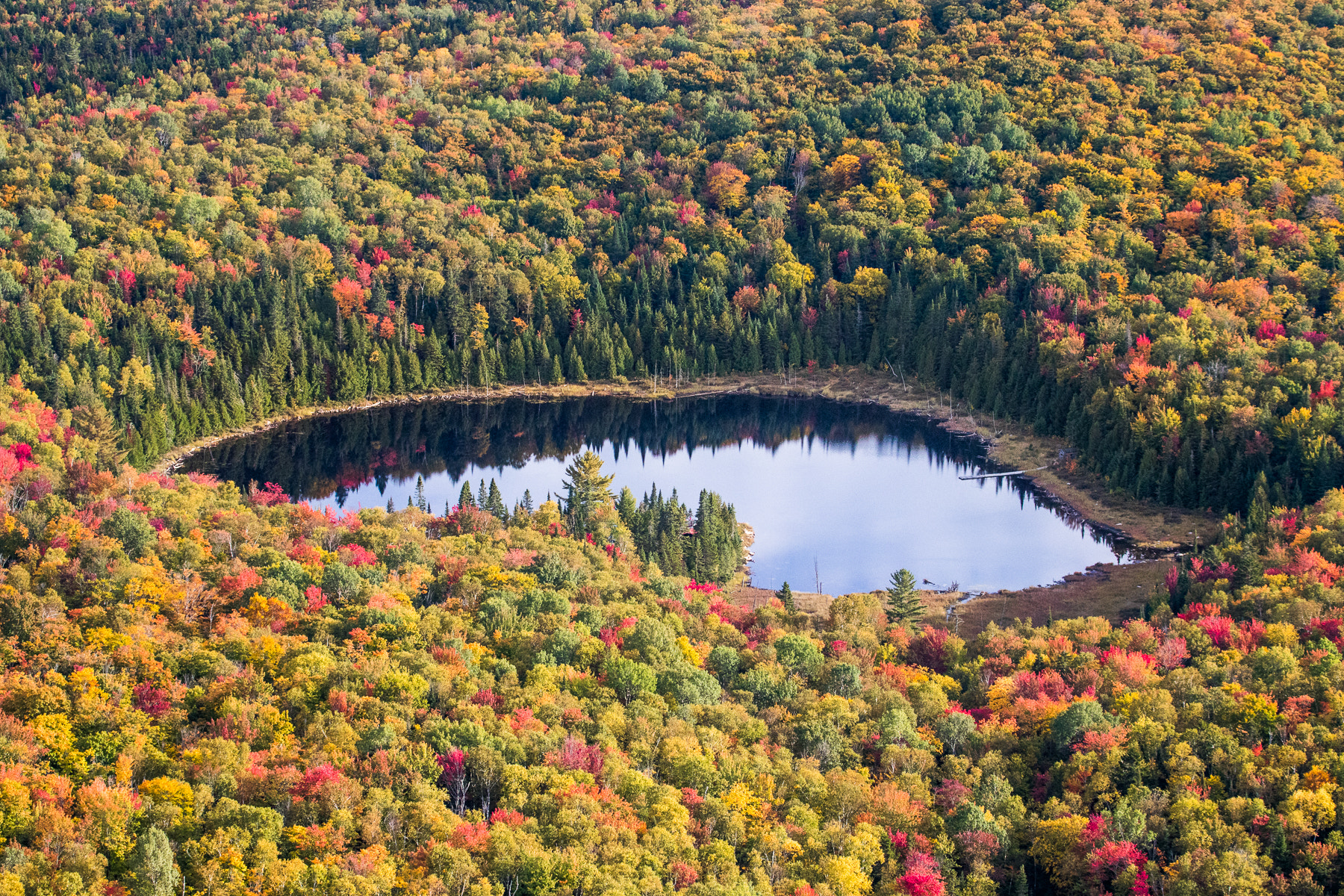 Canon EF 70-300mm F4-5.6L IS USM sample photo. Fall symphony photography