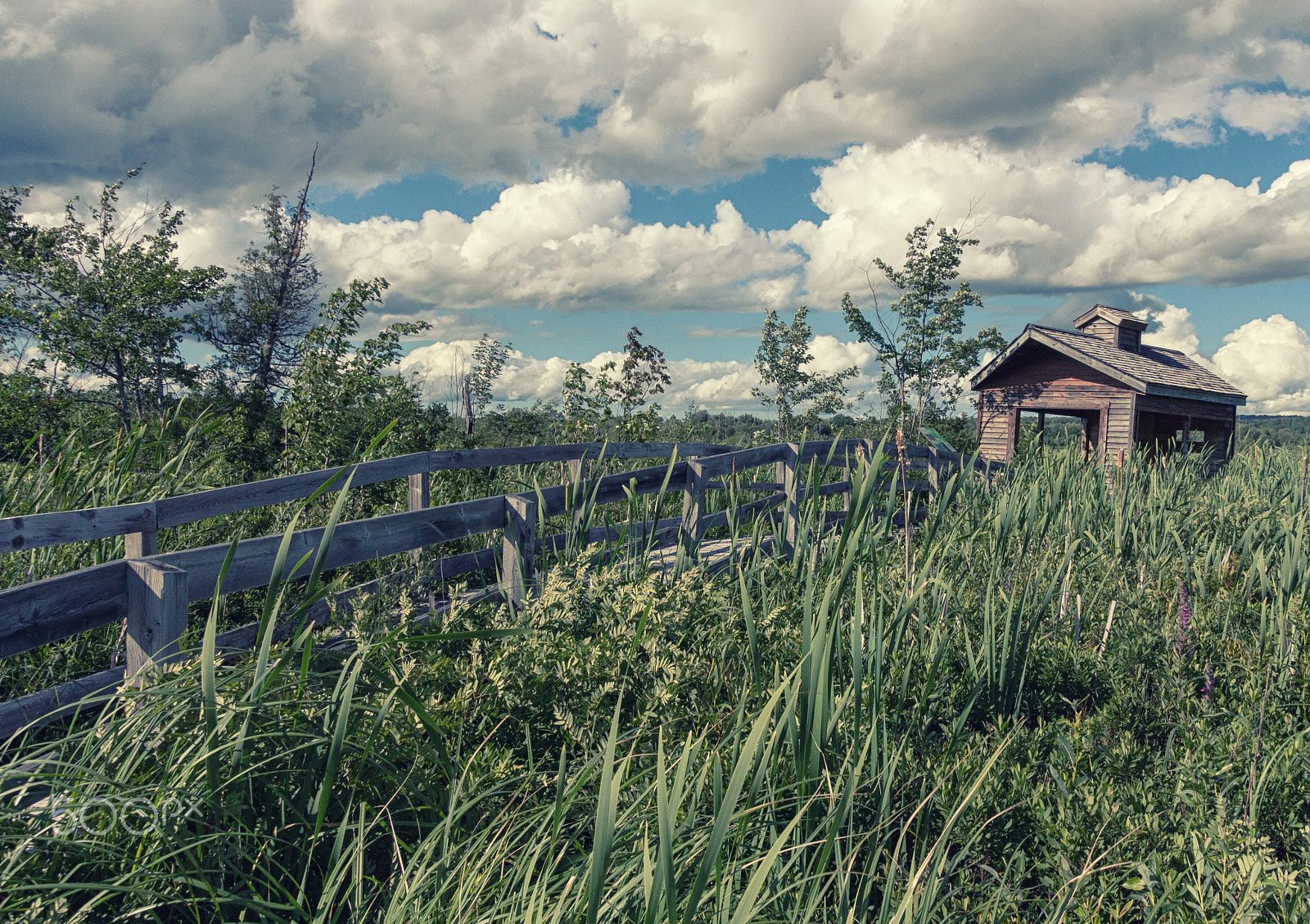 Canon EOS 650D (EOS Rebel T4i / EOS Kiss X6i) sample photo. Country side photography