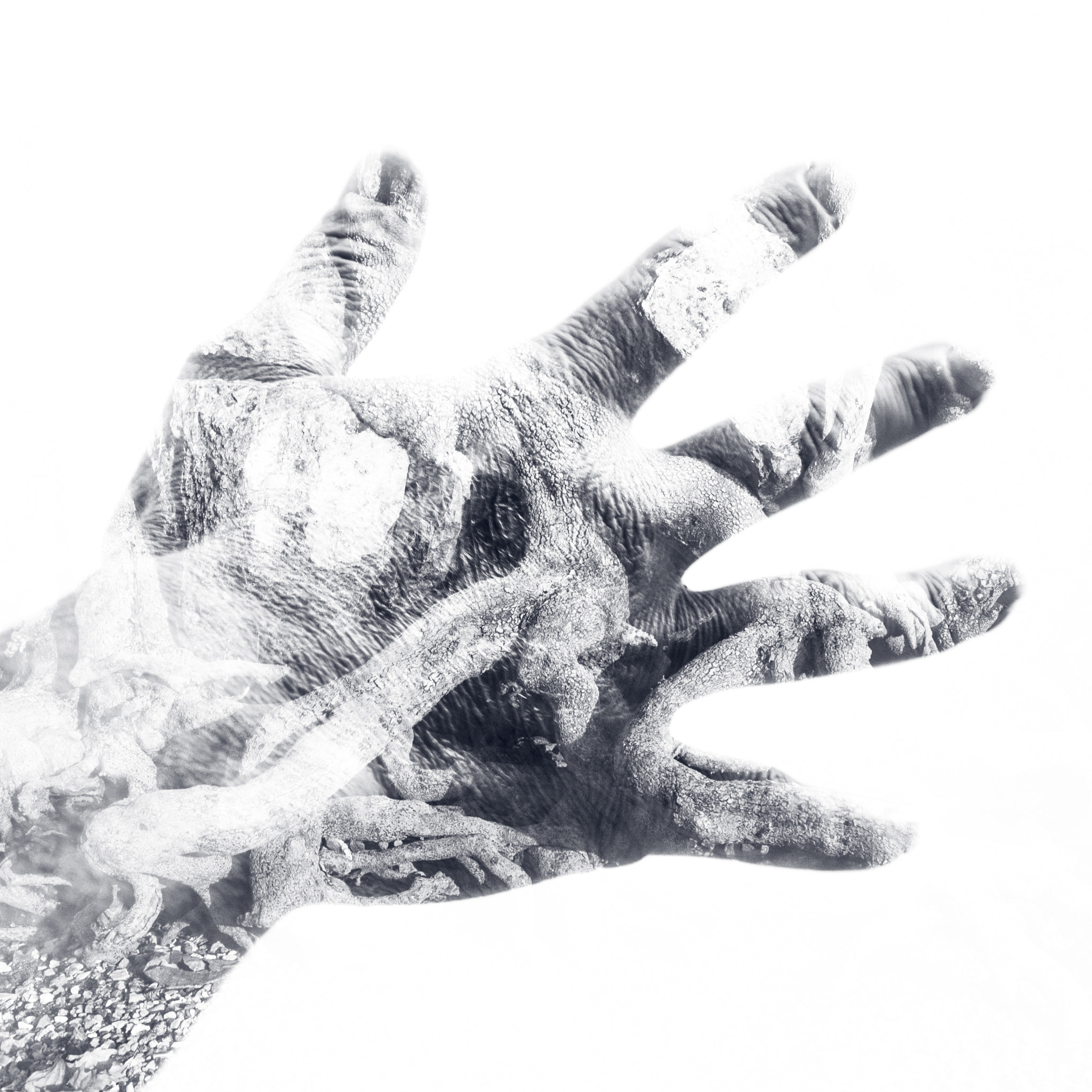 Olympus PEN E-P1 sample photo. The hand photography