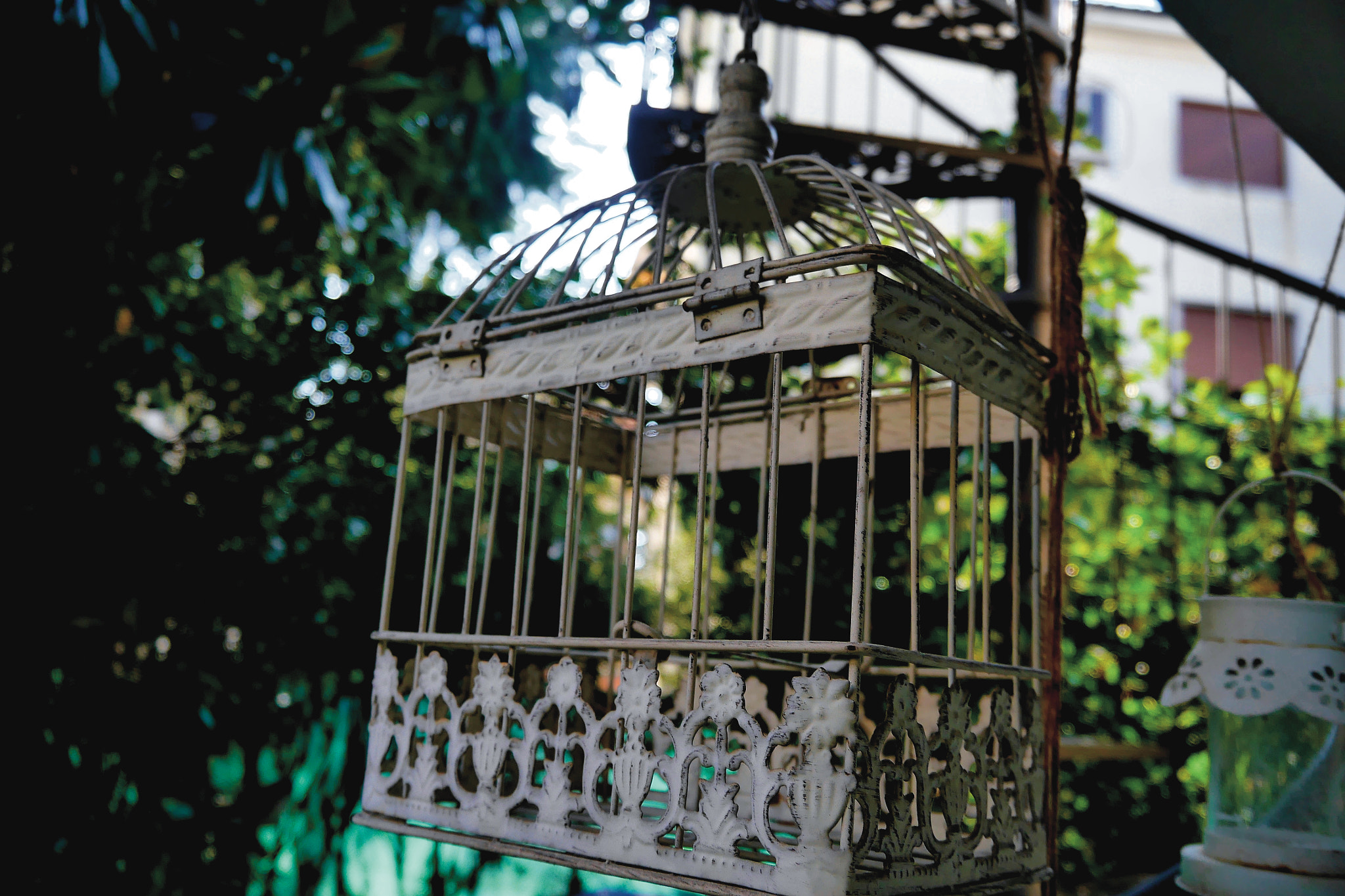 LUMIX G VARIO PZ 14-42/F3.5-5.6 sample photo. Cage photography