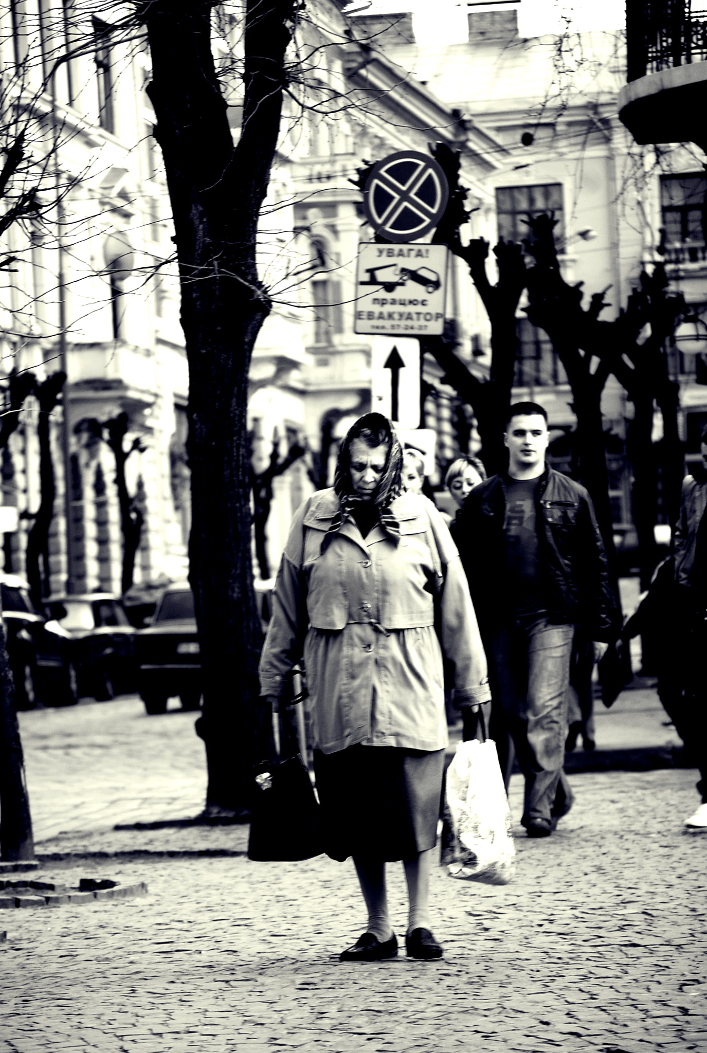 Nikon D40X sample photo. Homeless dogs and lonely people. chernivtsi (2011) 3/12 photography