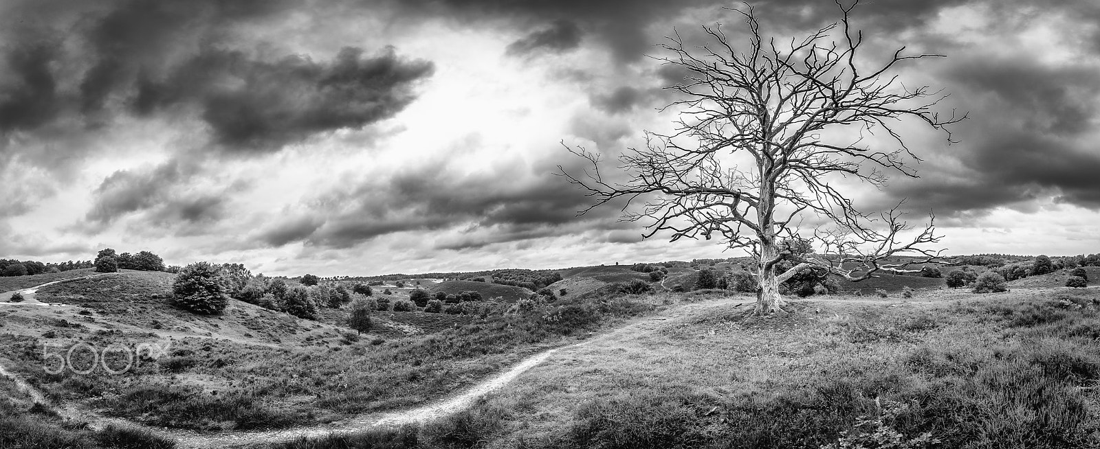 Sigma 12-24mm F4.5-5.6 EX DG Aspherical HSM sample photo. Panorama posbank photography