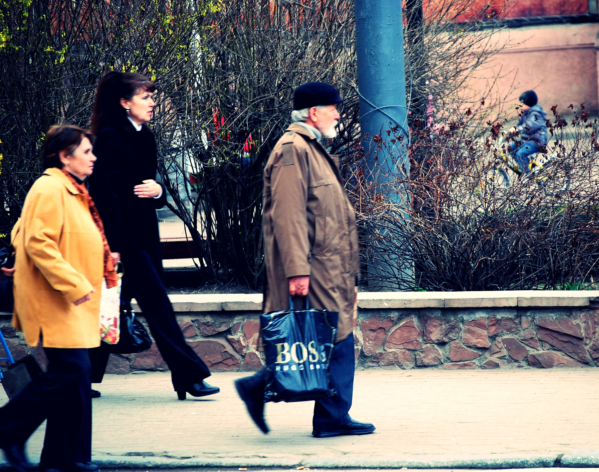Nikon D40X sample photo. Homeless dogs and lonely people. chernivtsi (2011) 5/12 photography