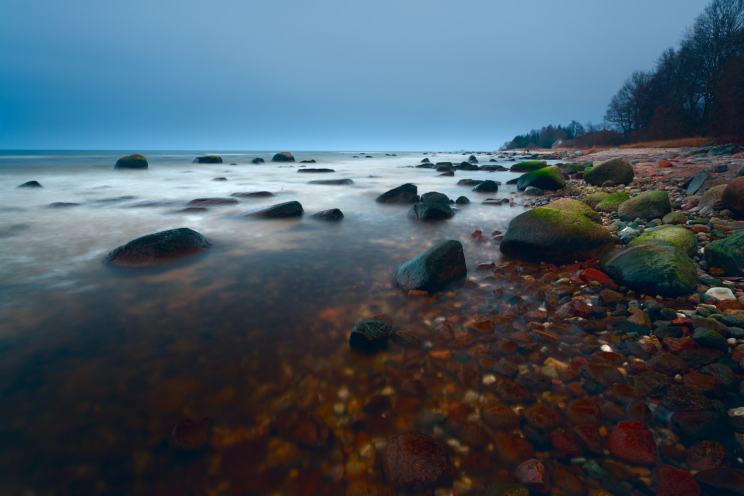 Canon EOS-1Ds Mark II sample photo. Yx photography