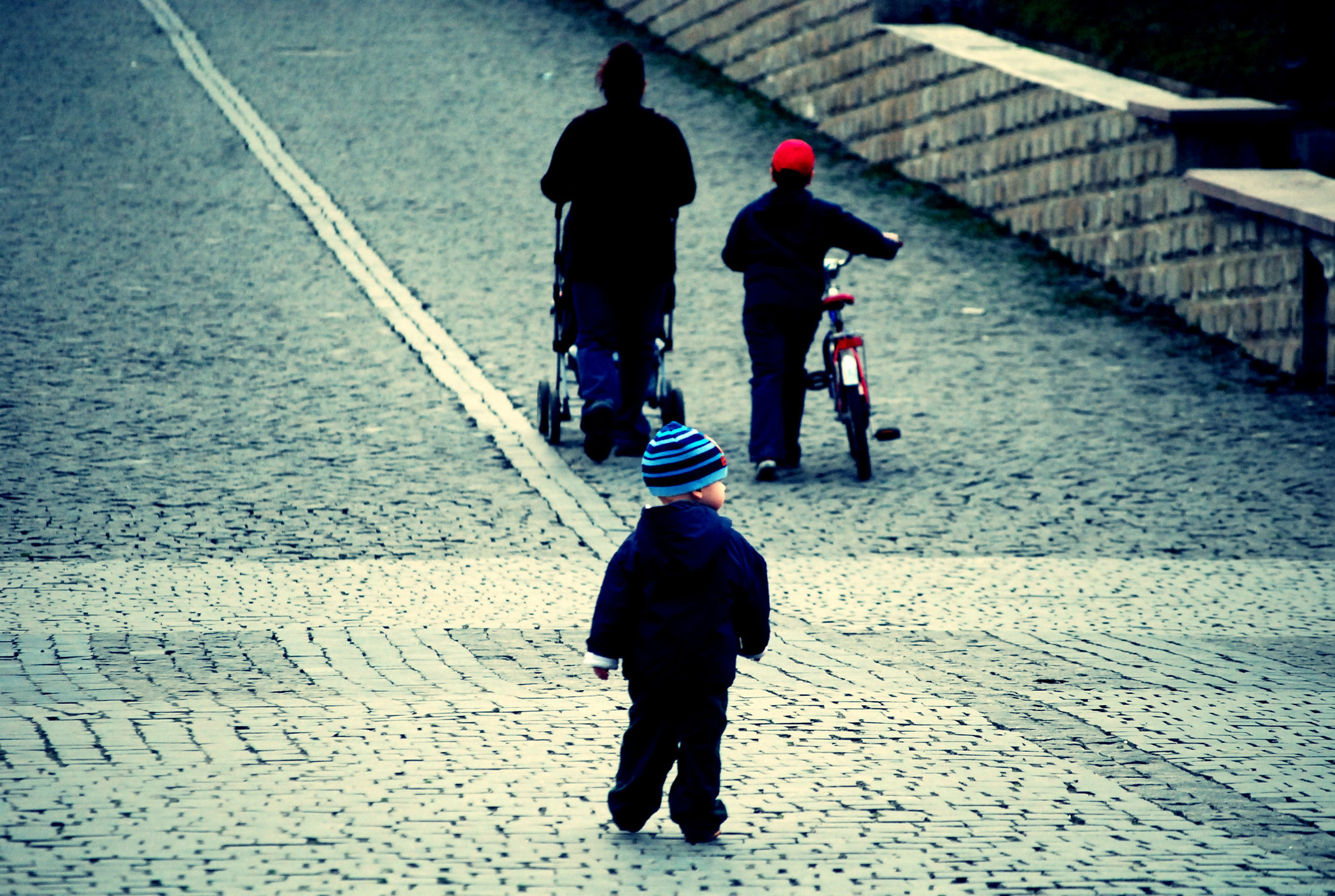 Nikon D40X sample photo. Homeless dogs and lonely people. chernivtsi (2011) 8/12 photography