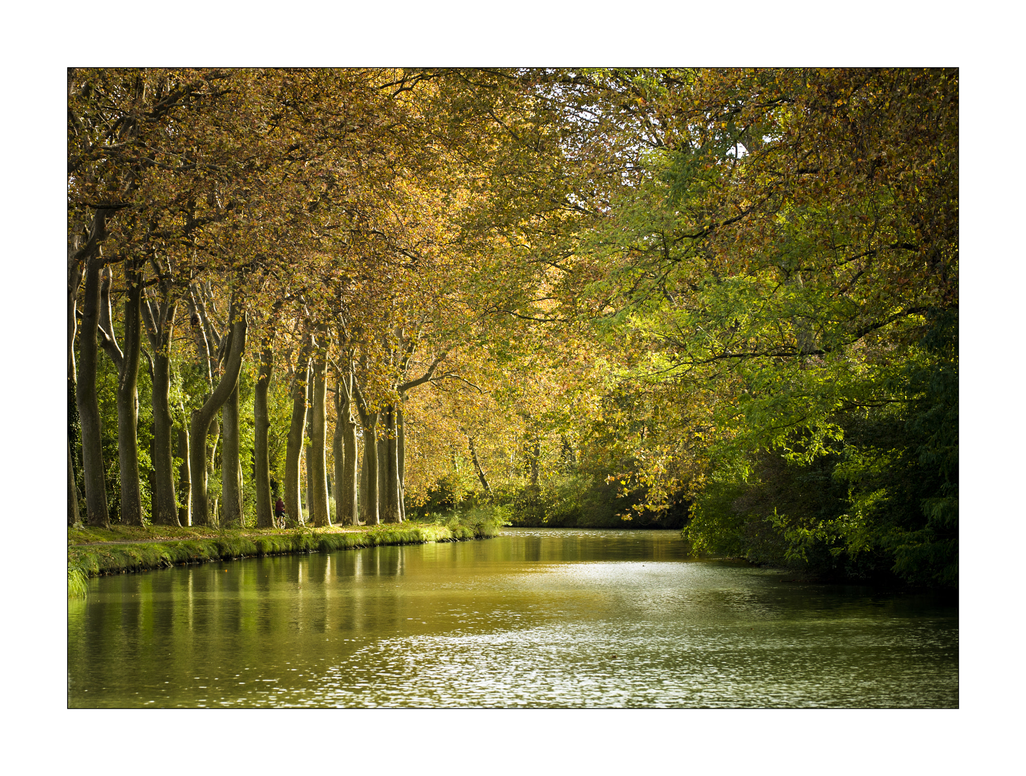 Nikon D3S sample photo. Le canal du midi photography