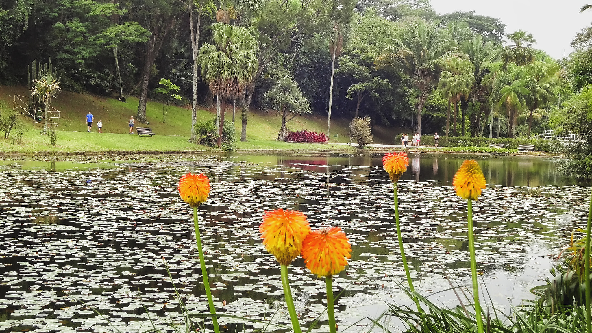 Sony DSC-WX7 sample photo. Botanic garden sp photography