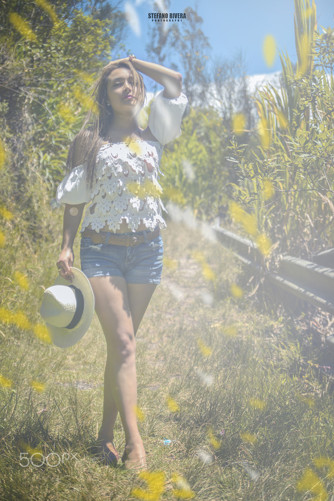 Nikon D800 sample photo. Pao photography