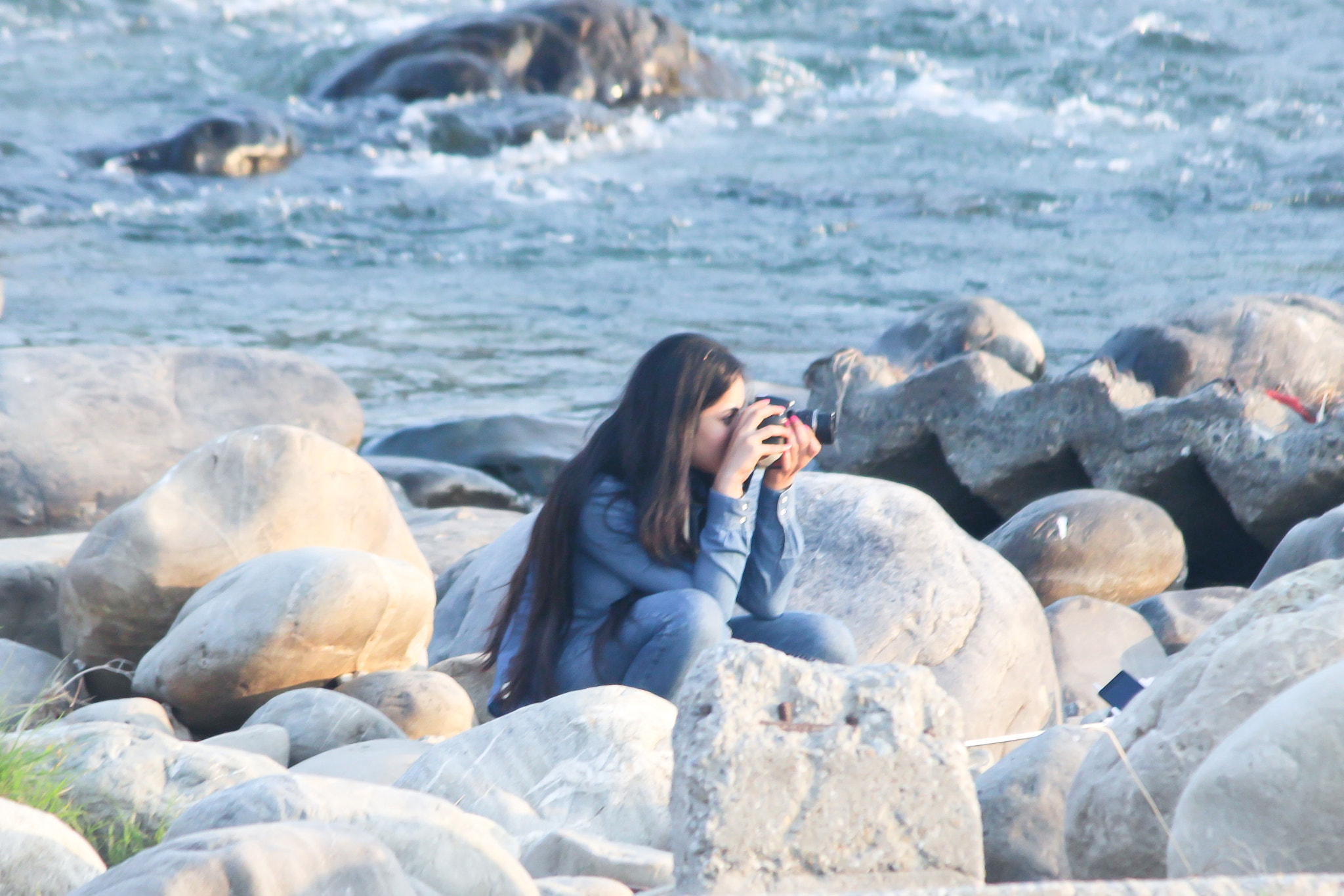 Canon EF-S 55-250mm F4-5.6 IS II sample photo. Focussed photography