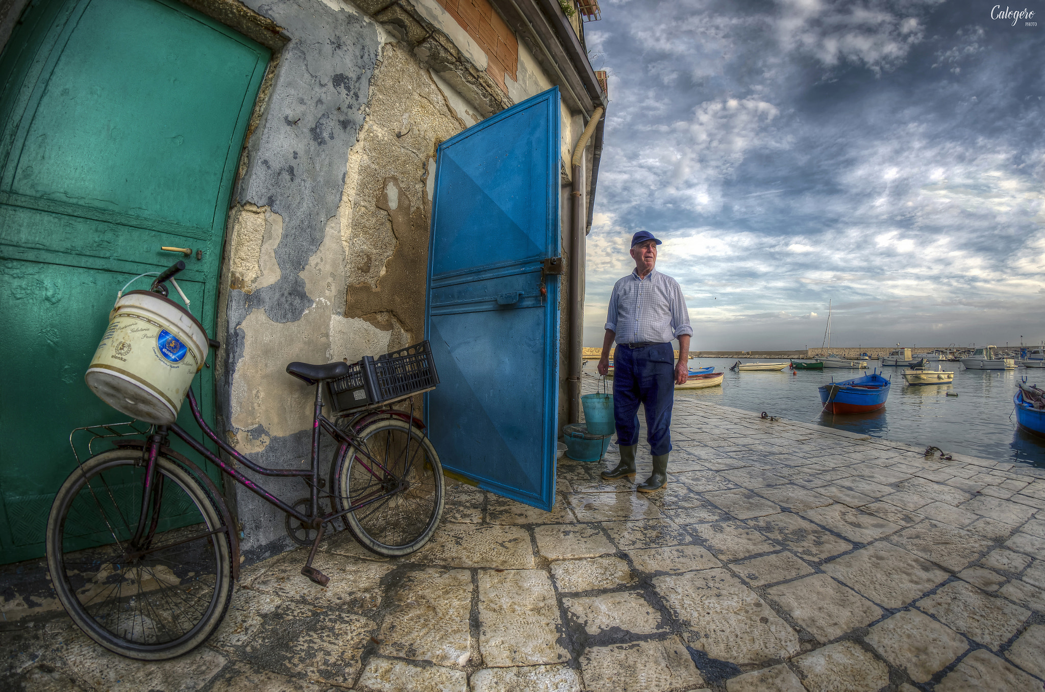 Nikon D5100 + Samyang 8mm F3.5 Aspherical IF MC Fisheye sample photo. Lupo di mare photography