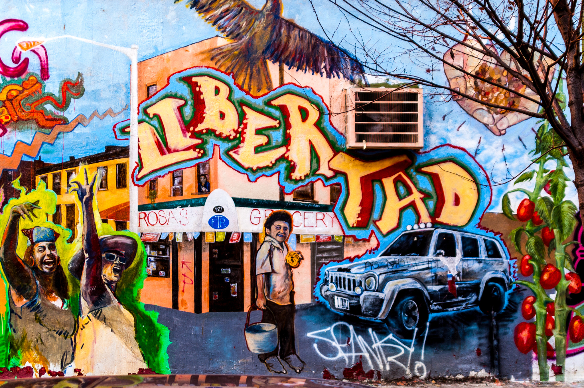 Nikon D50 sample photo. Little havana photography