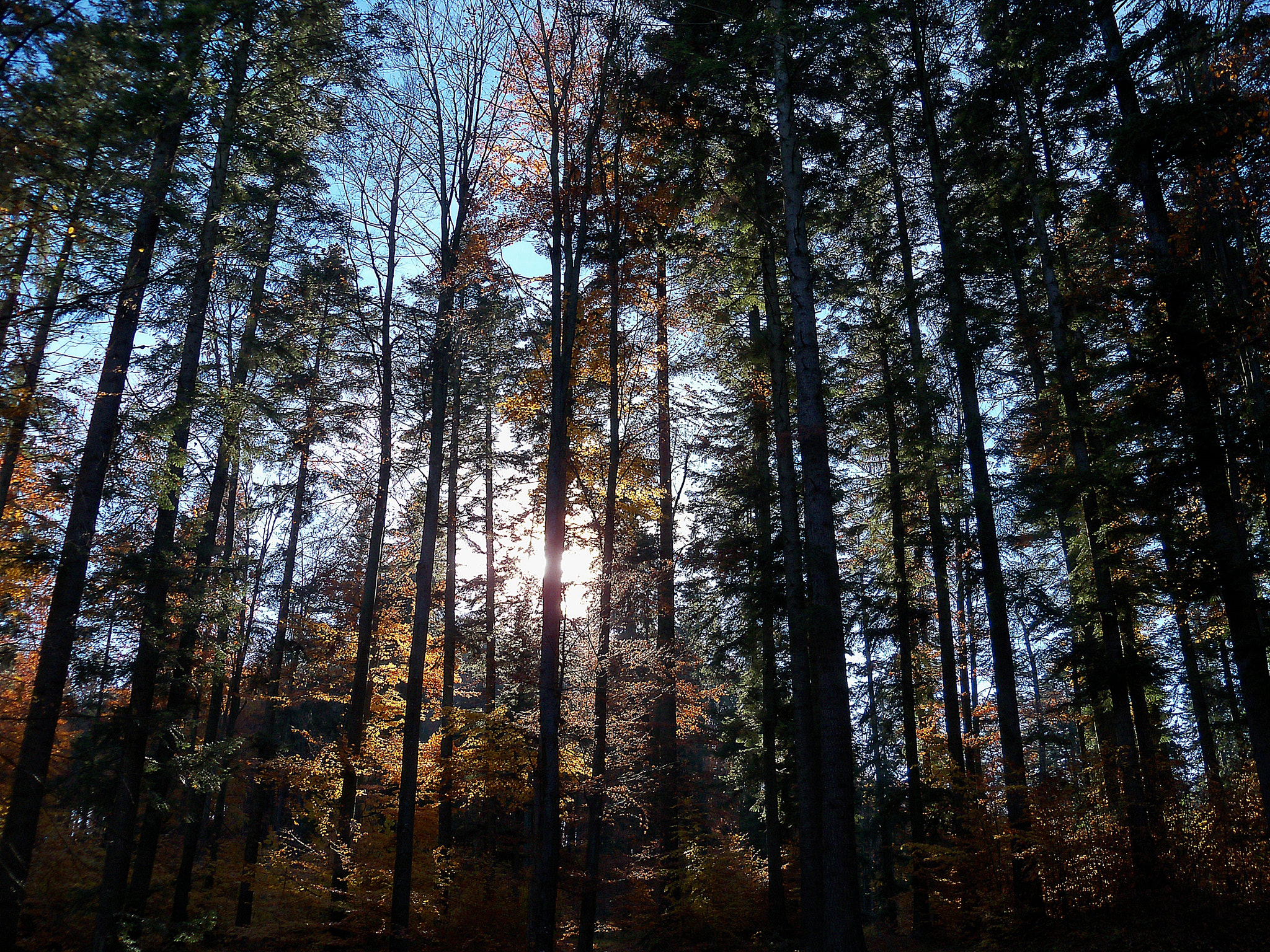 Kodak EasyShare Z915 sample photo. Mystic photography