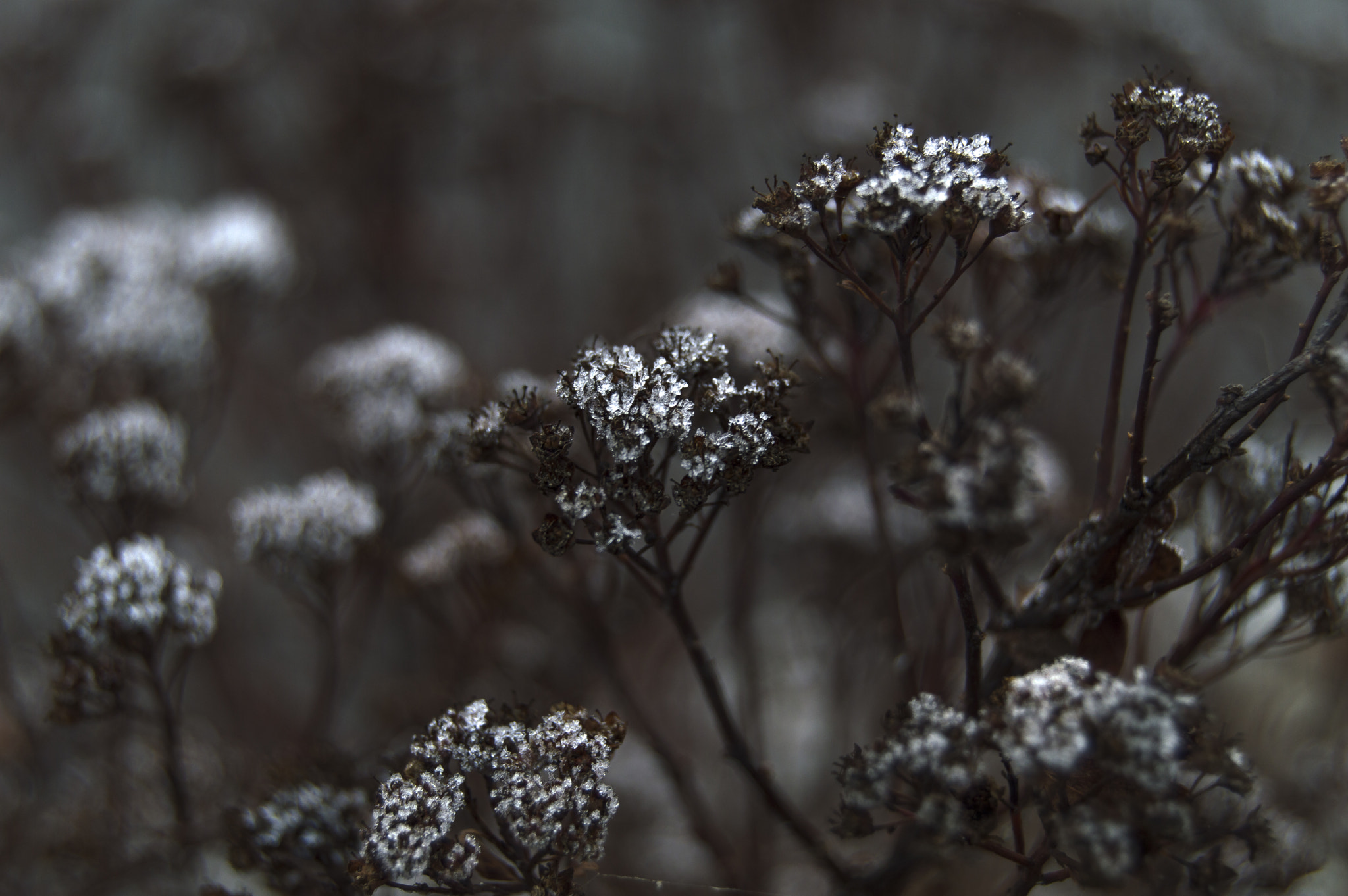 Nikon D3200 sample photo. He, she and them photography