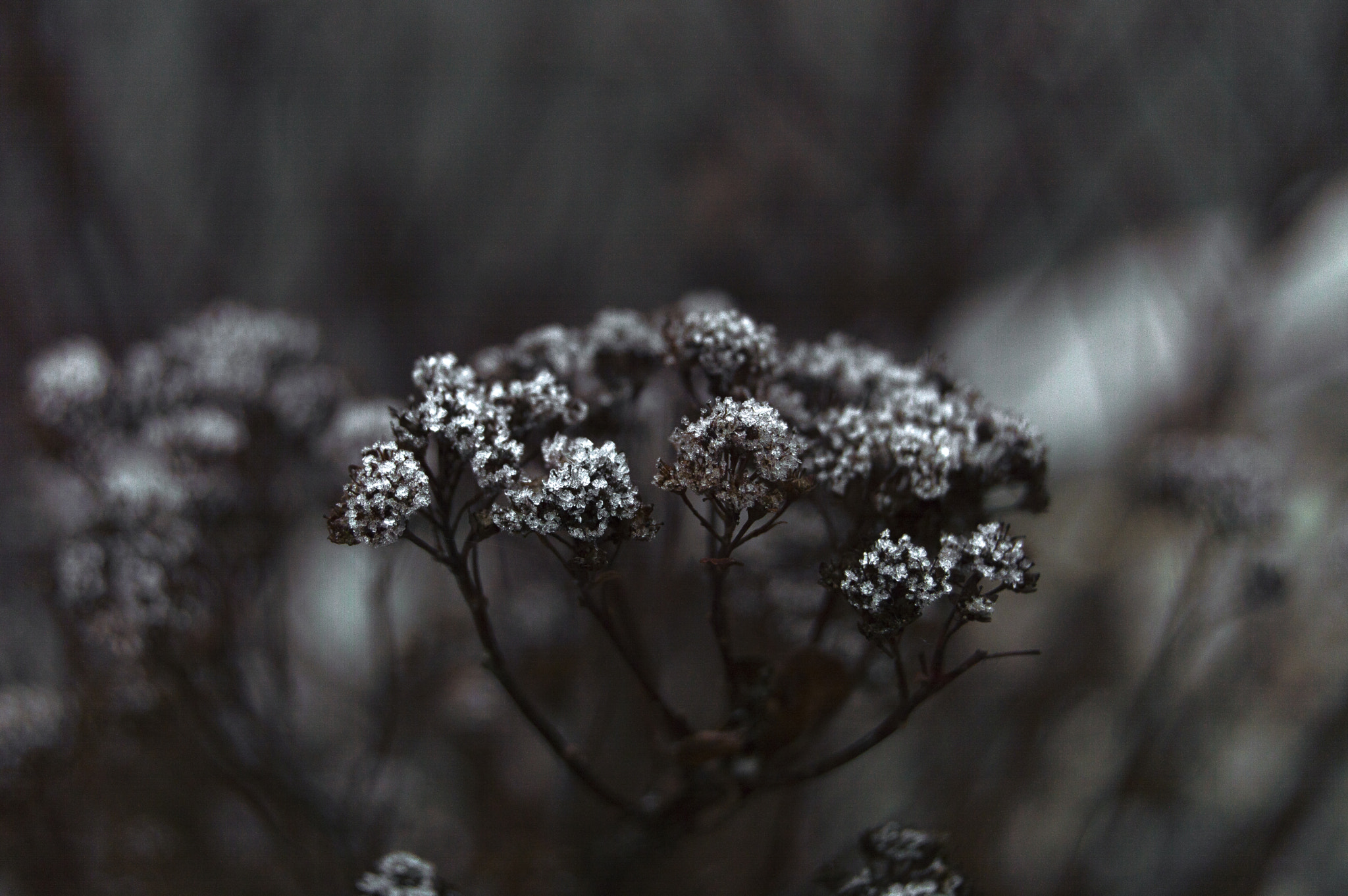 Nikon D3200 sample photo. He photography