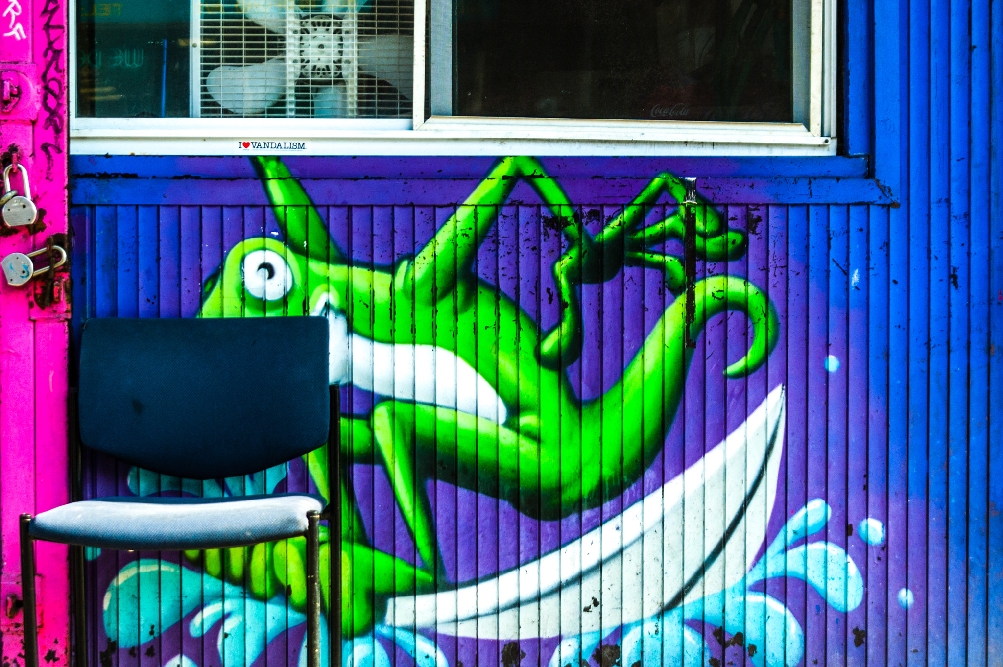 Nikon D50 sample photo. Ac frog photography