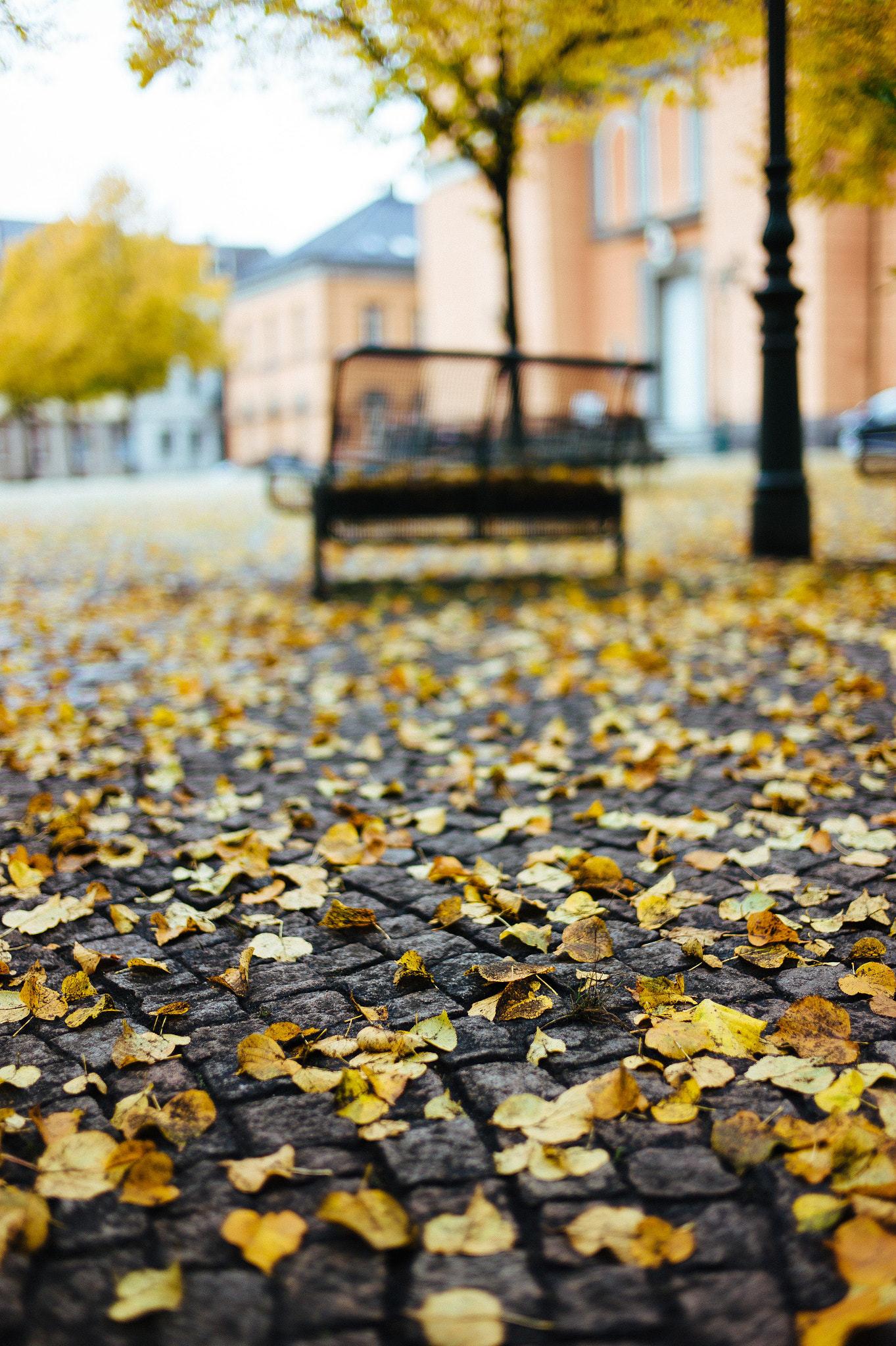 Leica M9 + Leica Summilux-M 35mm F1.4 ASPH sample photo. - photography