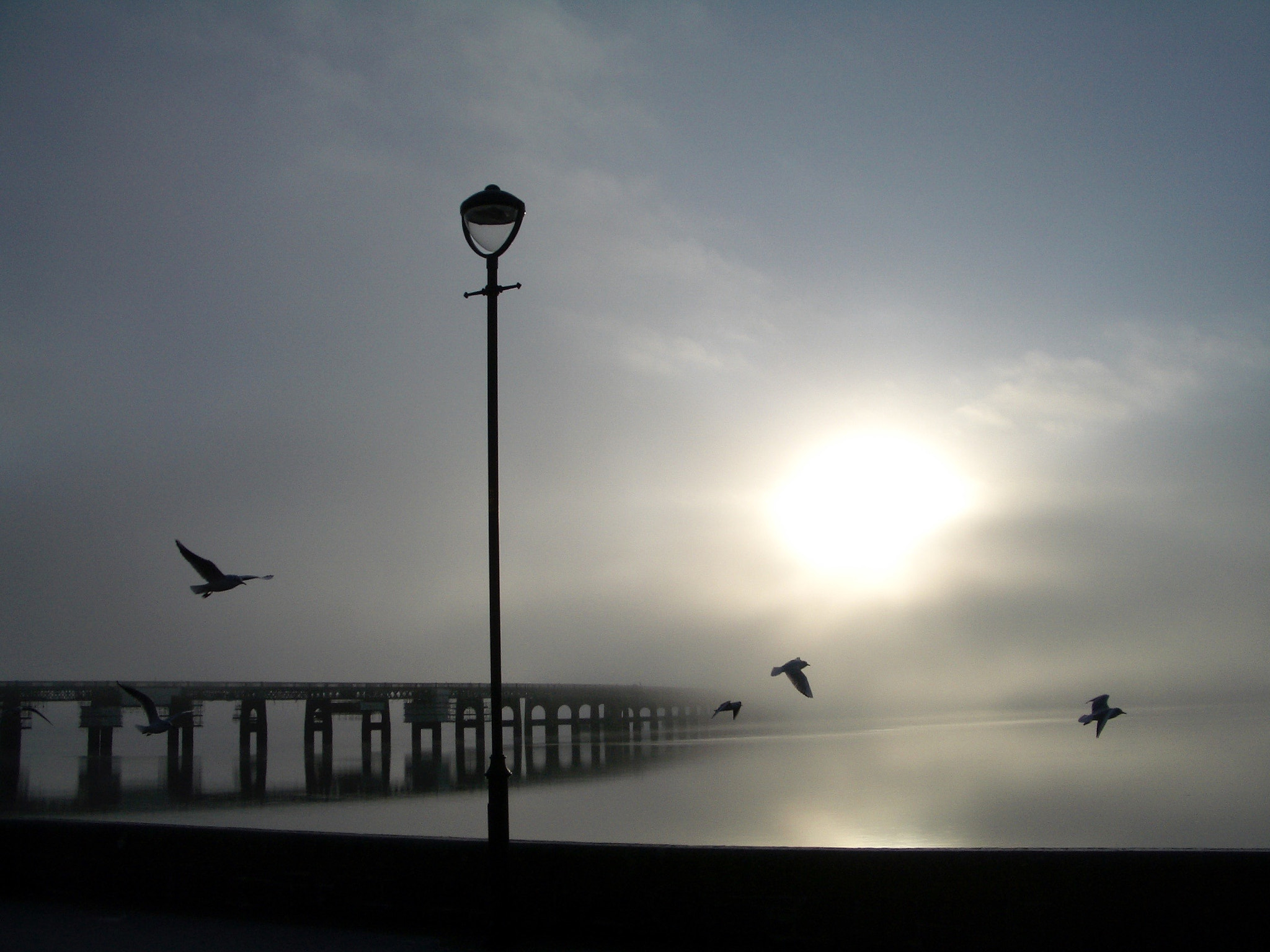 Pentax OPTIO S4I sample photo. Tay rail bridge dundee  photography