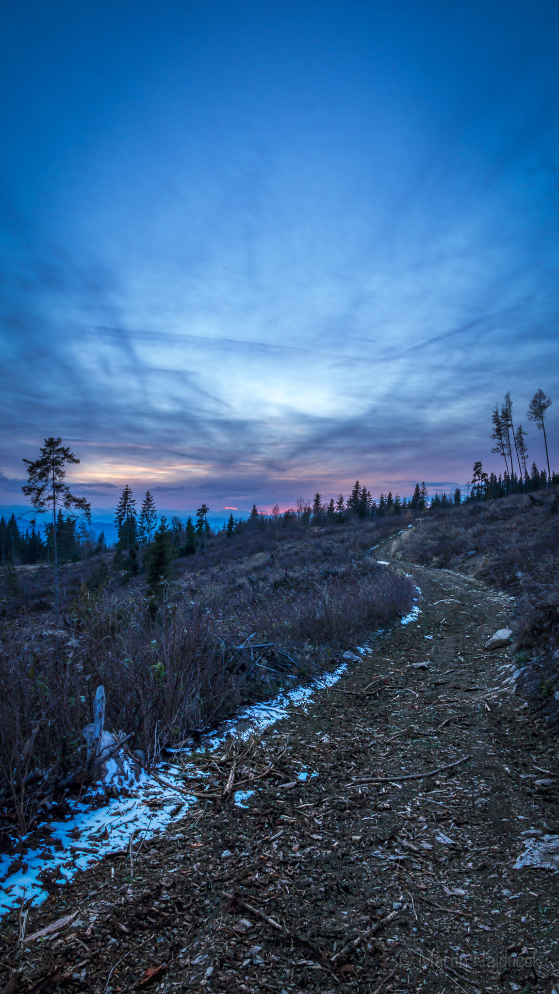 Panasonic Lumix G X Vario 12-35mm F2.8 ASPH Power OIS sample photo. Rubanisko photography