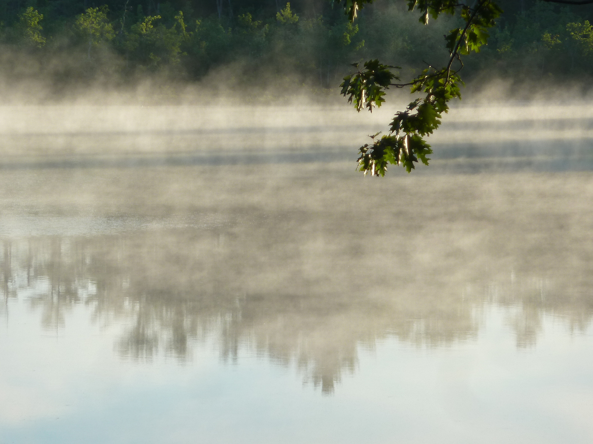 Panasonic Lumix DMC-ZS5 (Lumix DMC-TZ8) sample photo. Lake willis, early morning photography