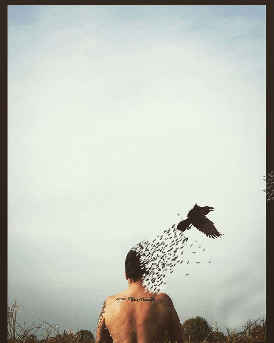 OLYMPUS M.14-150mm F4.0-5.6 II sample photo. Free like a bird that's what i want to be. photography