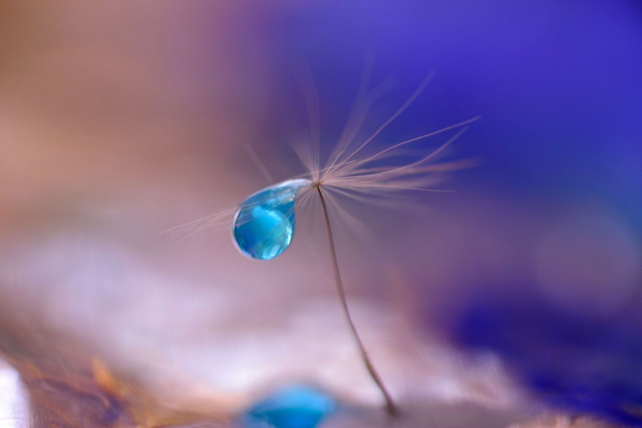 Sigma 105mm F2.8 EX DG OS HSM sample photo. Aquamarine photography