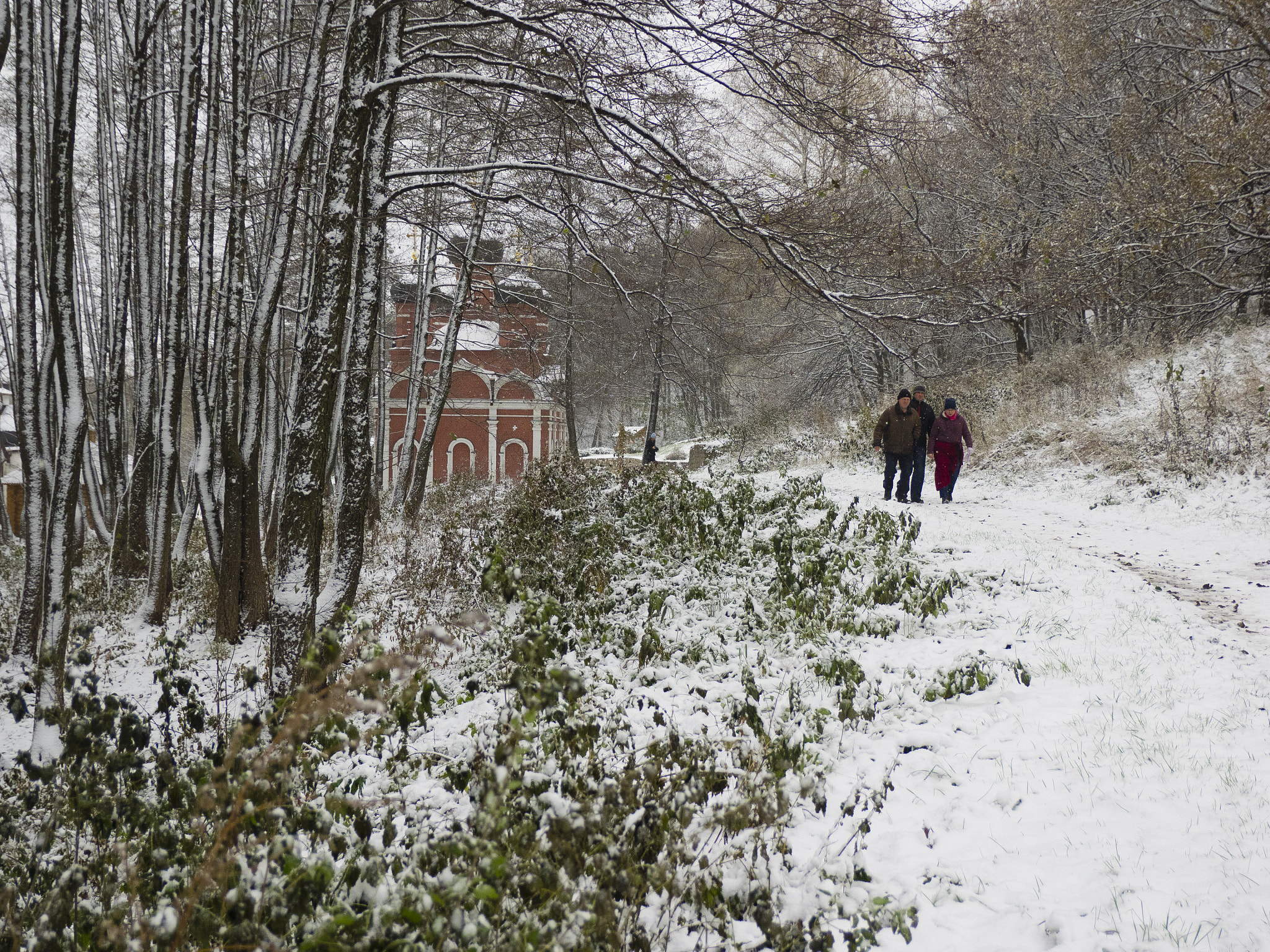 Olympus OM-D E-M1 + SIGMA 18-50mm F2.8 DC sample photo. Winter in ryazan region photography