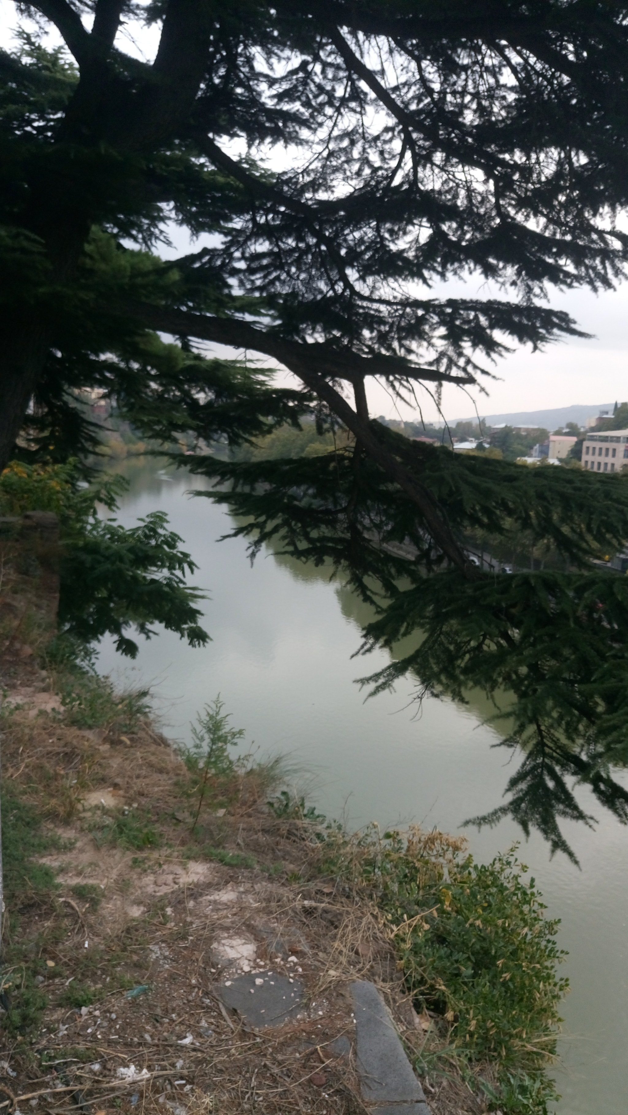 Sony Xperia M5 Dual sample photo. River photography
