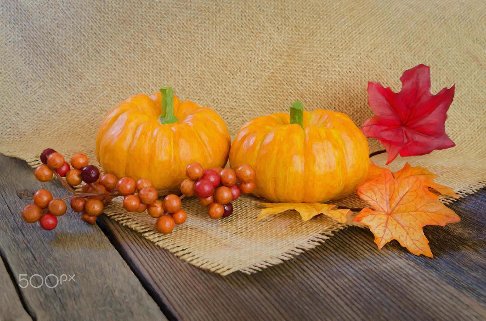 Sigma 24-70mm F2.8 EX DG HSM sample photo. Seasonal photography