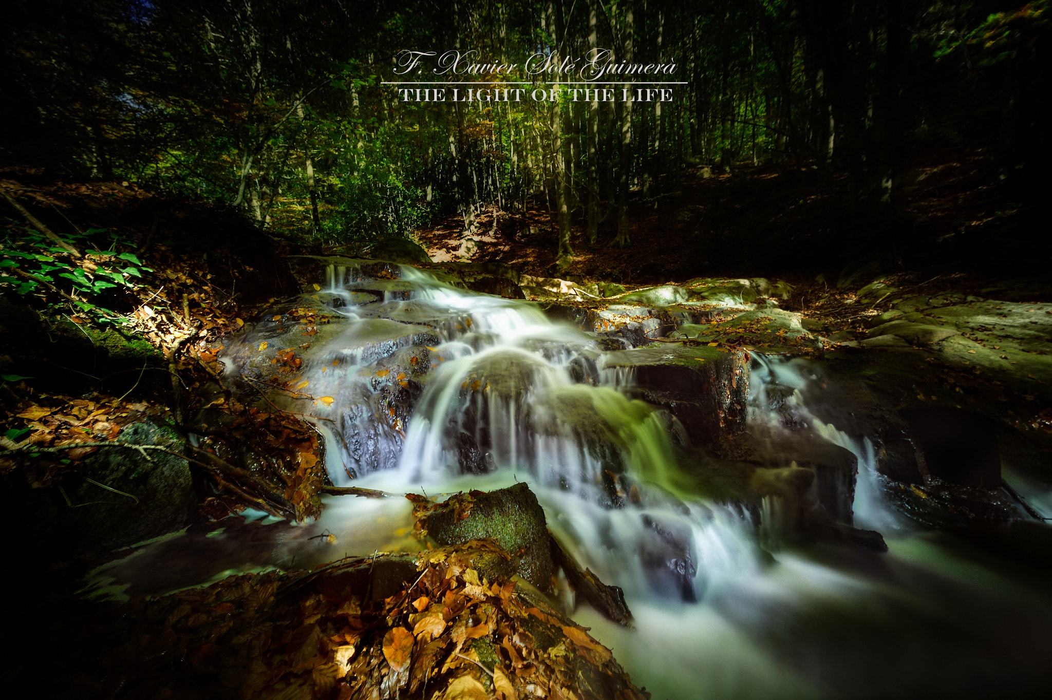 Nikon D3S sample photo. Autum 3 photography