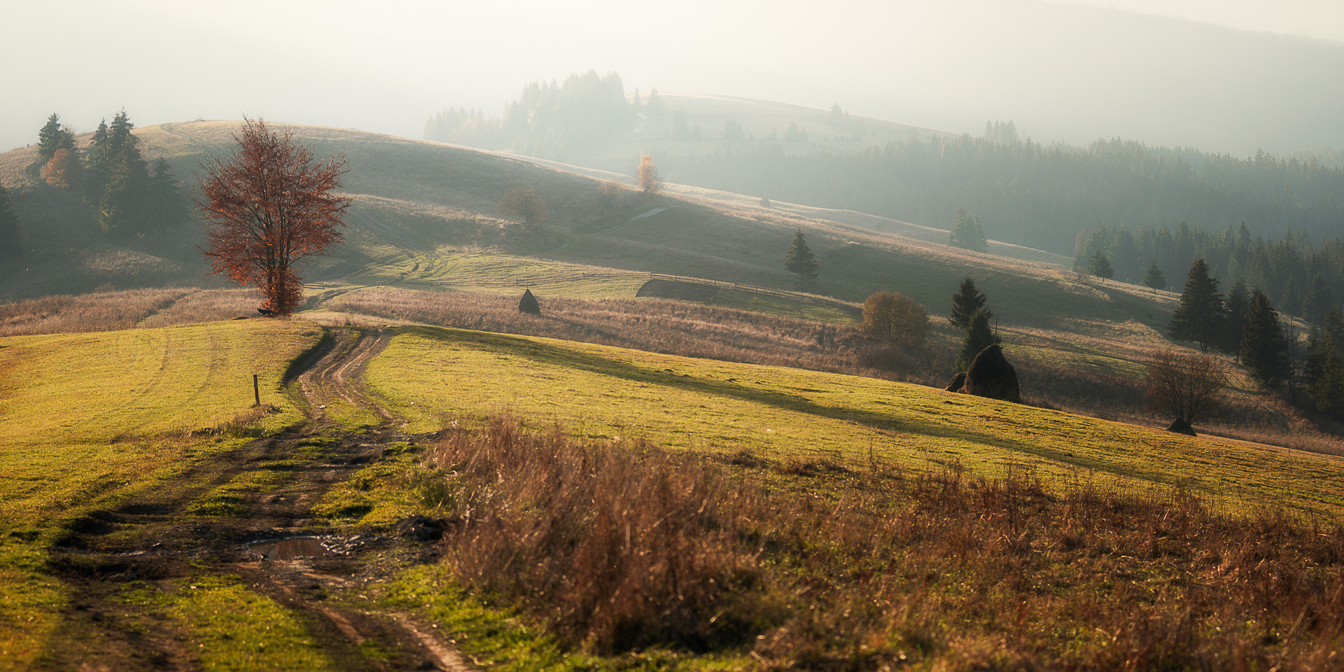 Minolta AF 80-200mm F2.8 HS-APO G sample photo. карпаты photography
