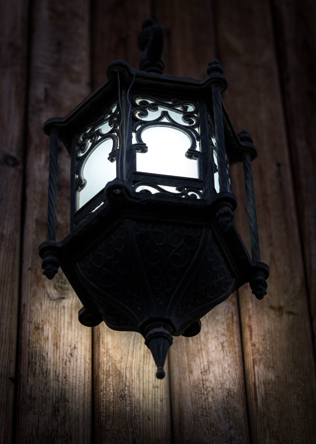 Canon EOS 750D (EOS Rebel T6i / EOS Kiss X8i) sample photo. Lantern photography