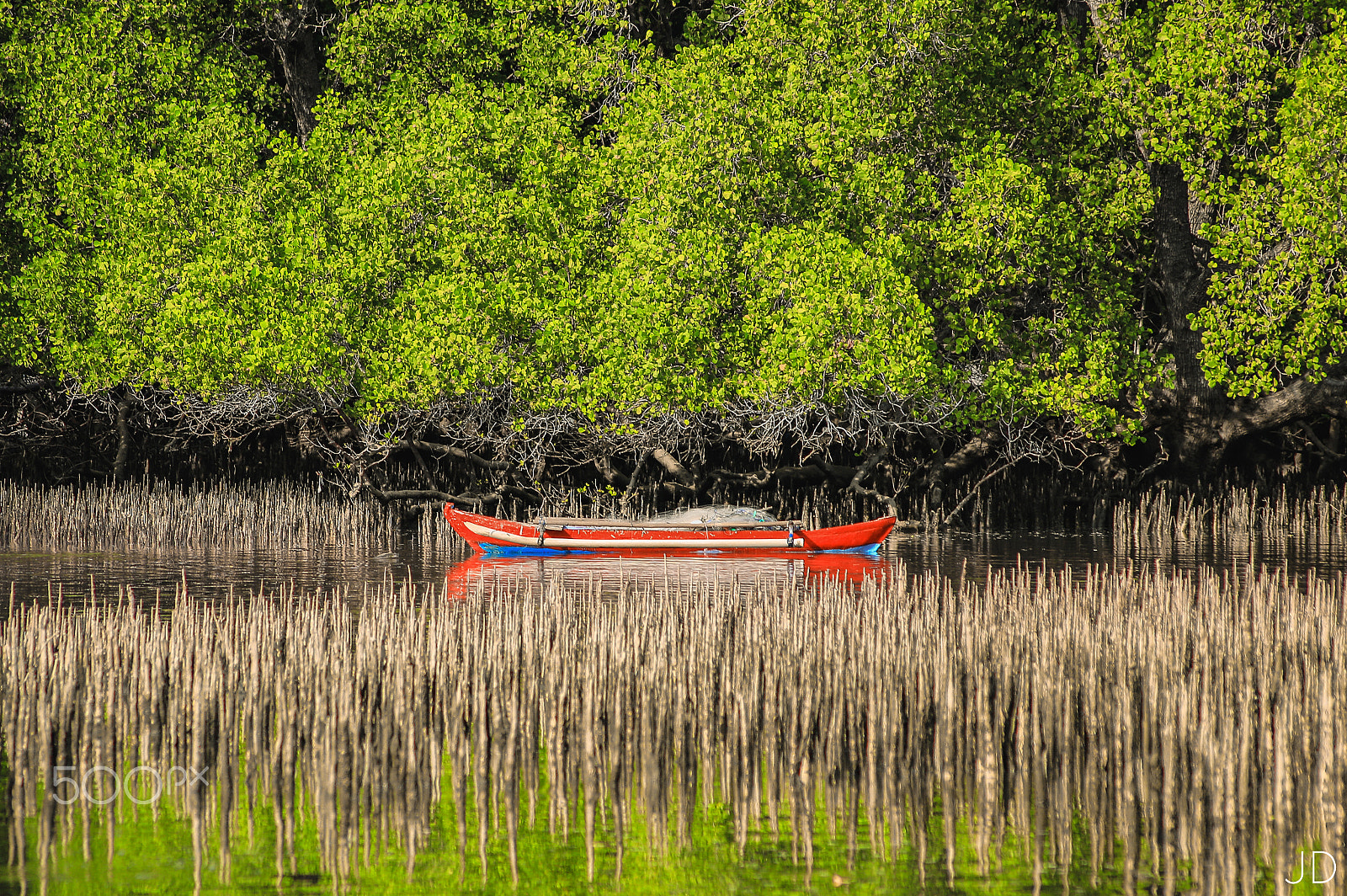 Canon EOS 70D + Sigma 50-200mm F4-5.6 DC OS HSM sample photo. Green photography