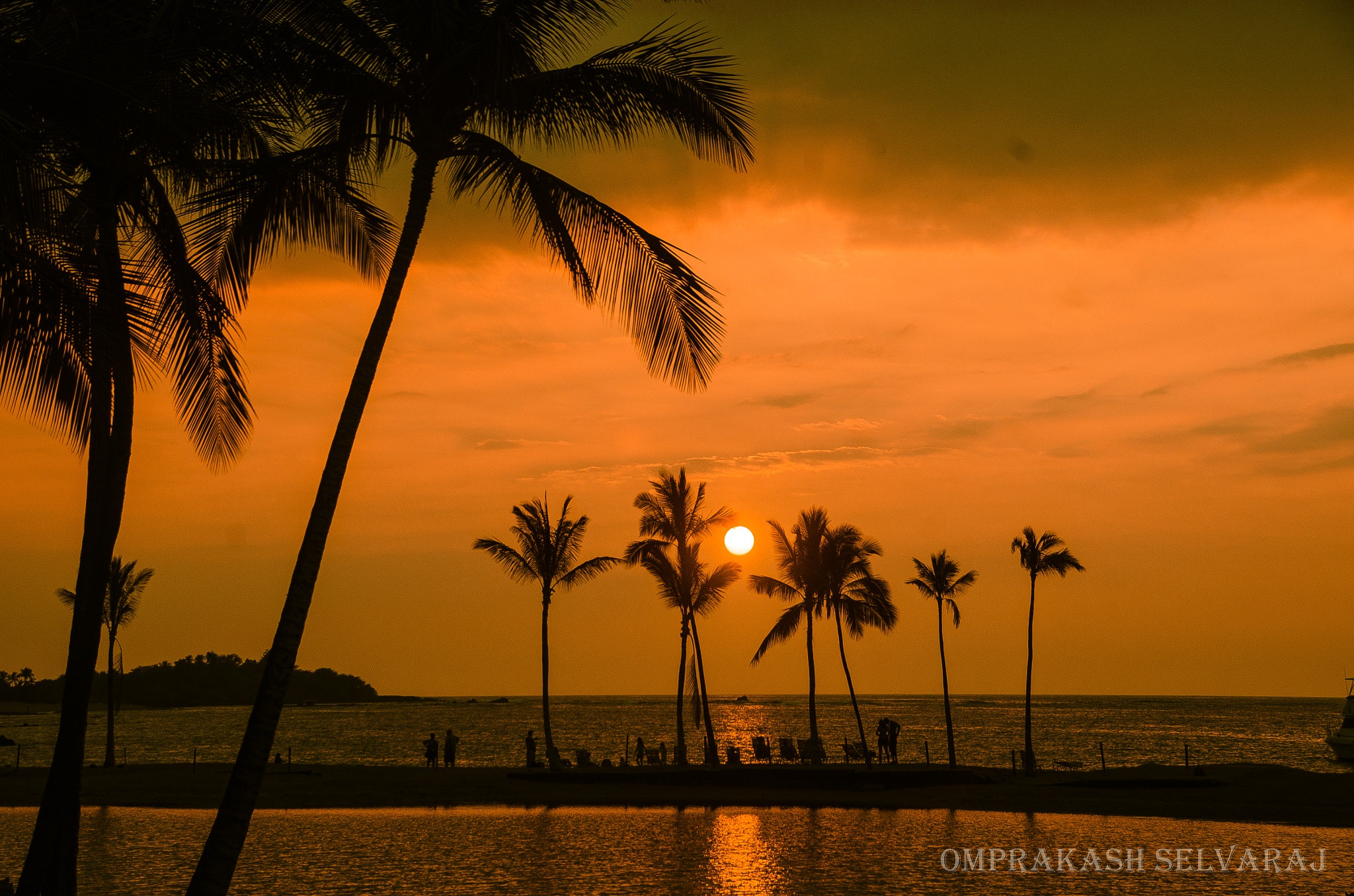 Sigma 18-250mm F3.5-6.3 DC Macro OS HSM sample photo. Sun set and coconut trees photography