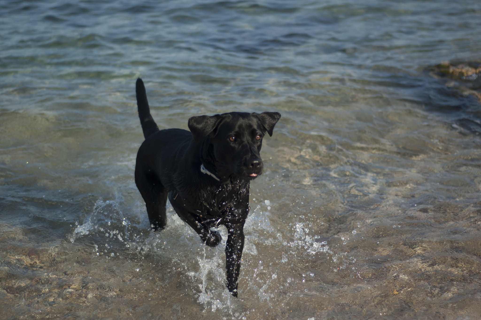 Nikon D50 sample photo. Vega en la playa photography