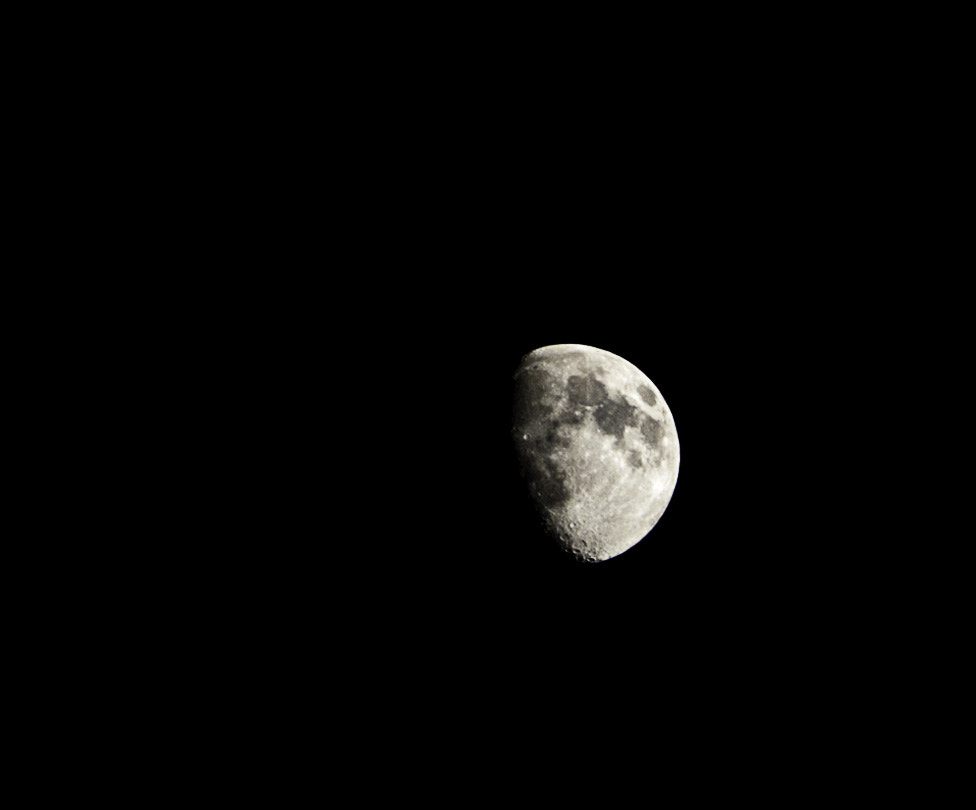 Nikon D50 sample photo. Luna photography