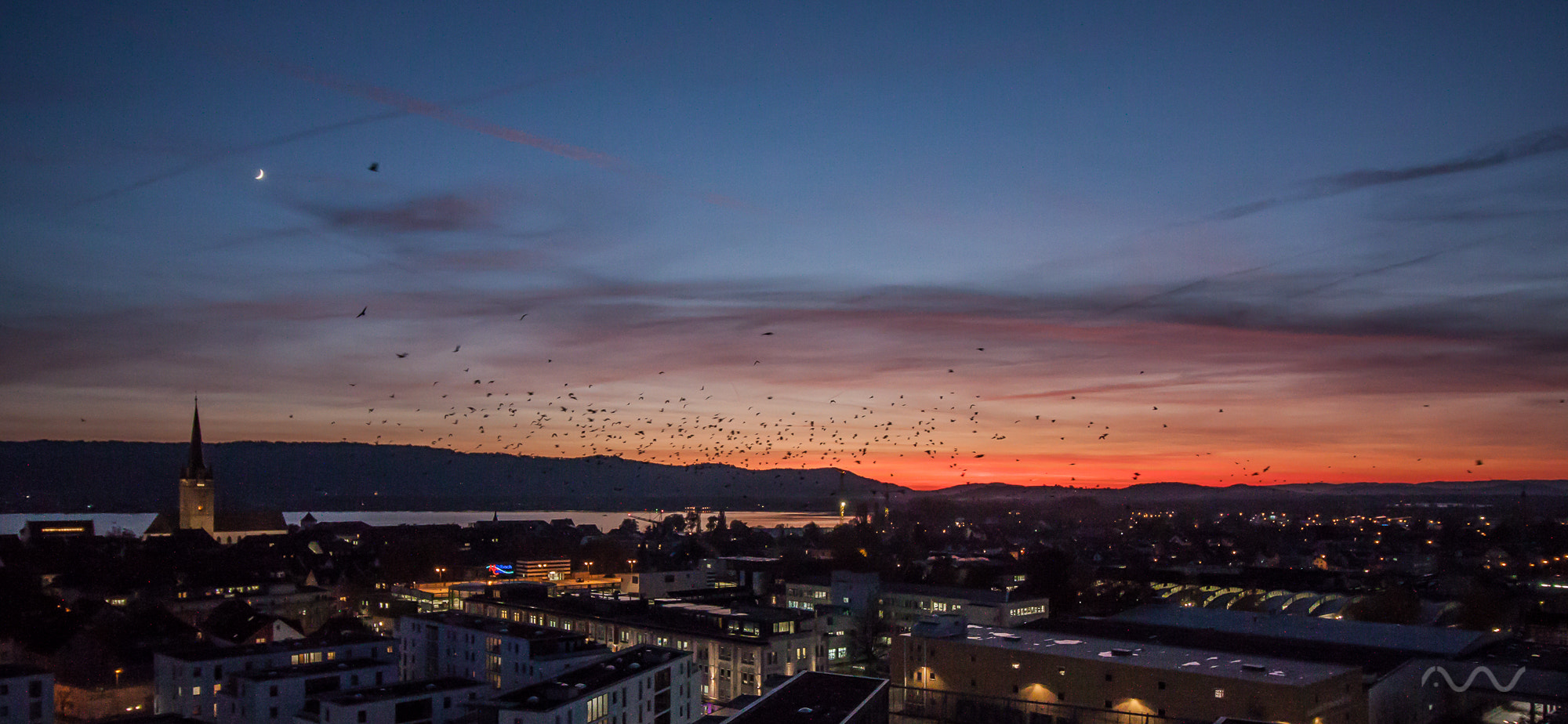 Canon EOS 500D (EOS Rebel T1i / EOS Kiss X3) sample photo. Birds like sunsets photography