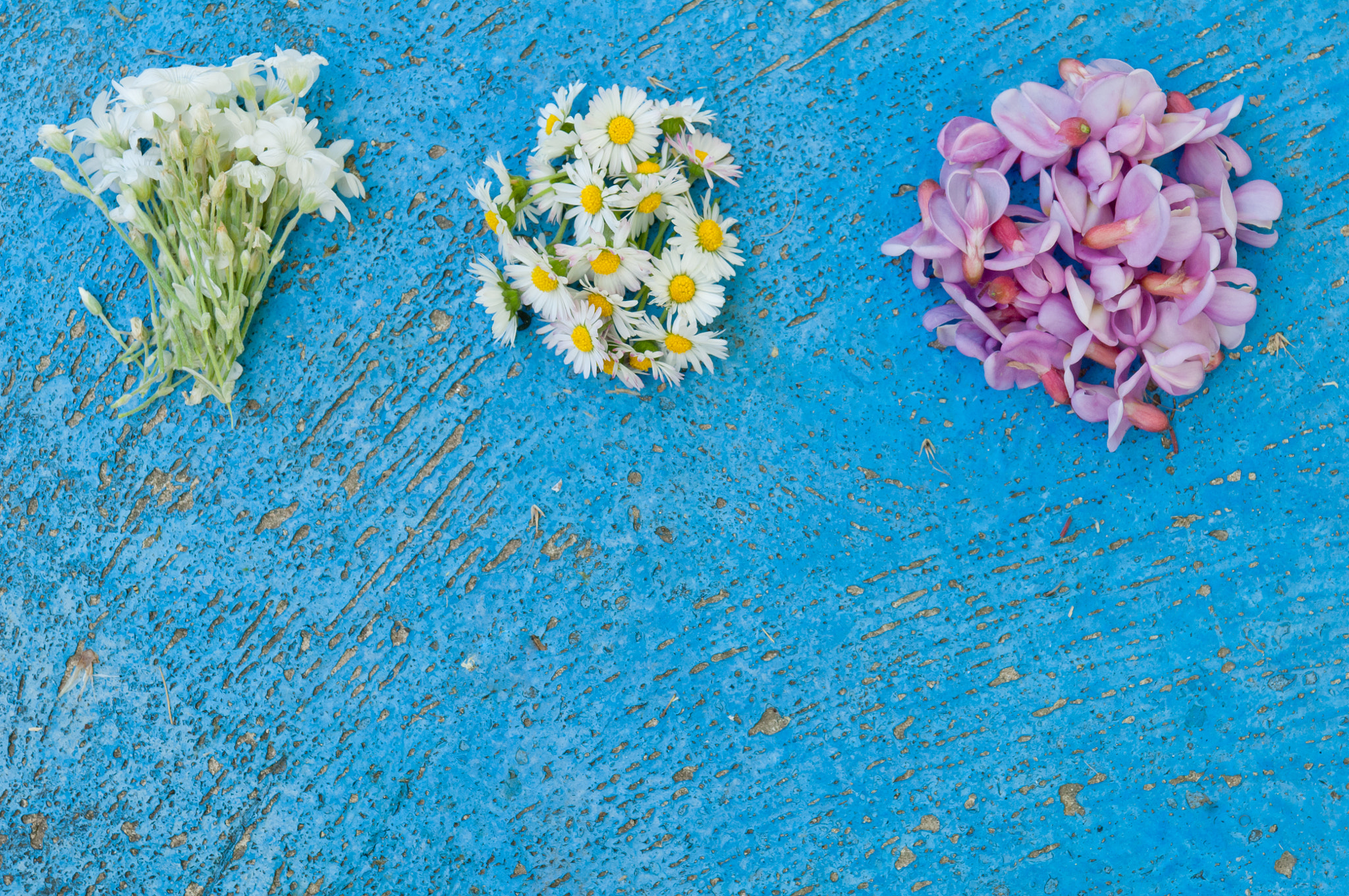 Nikon D2X sample photo. Small bunches of different flowers on an old textured light blue photography