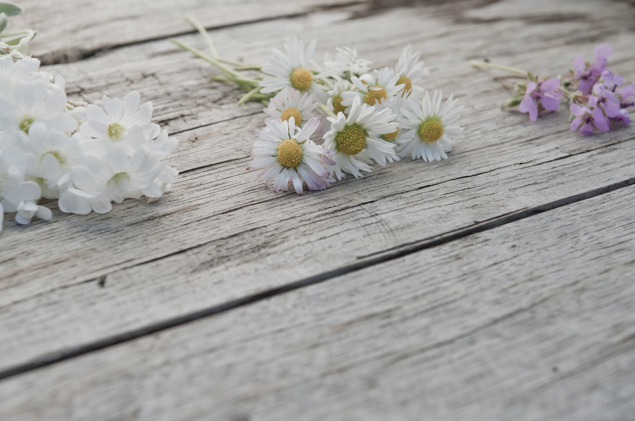 Nikon D2X sample photo. Small bunches of flowers on wooden background copy space photography