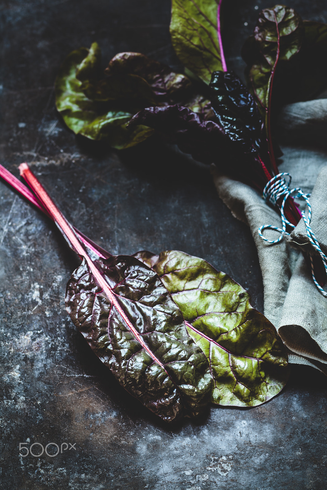 Canon TS-E 90mm F2.8 Tilt-Shift sample photo. Swiss chard on black background photography