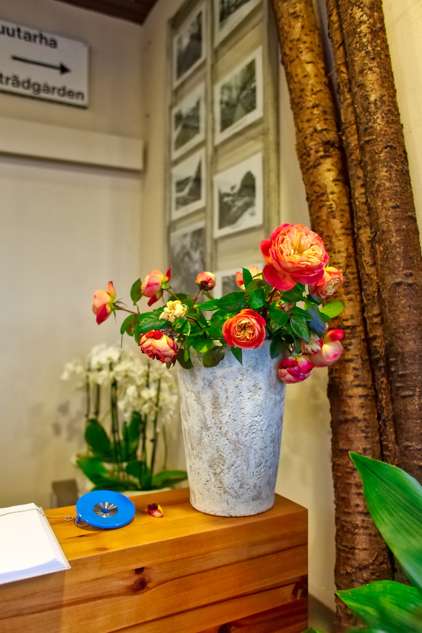 Canon EF 28mm F1.8 USM sample photo