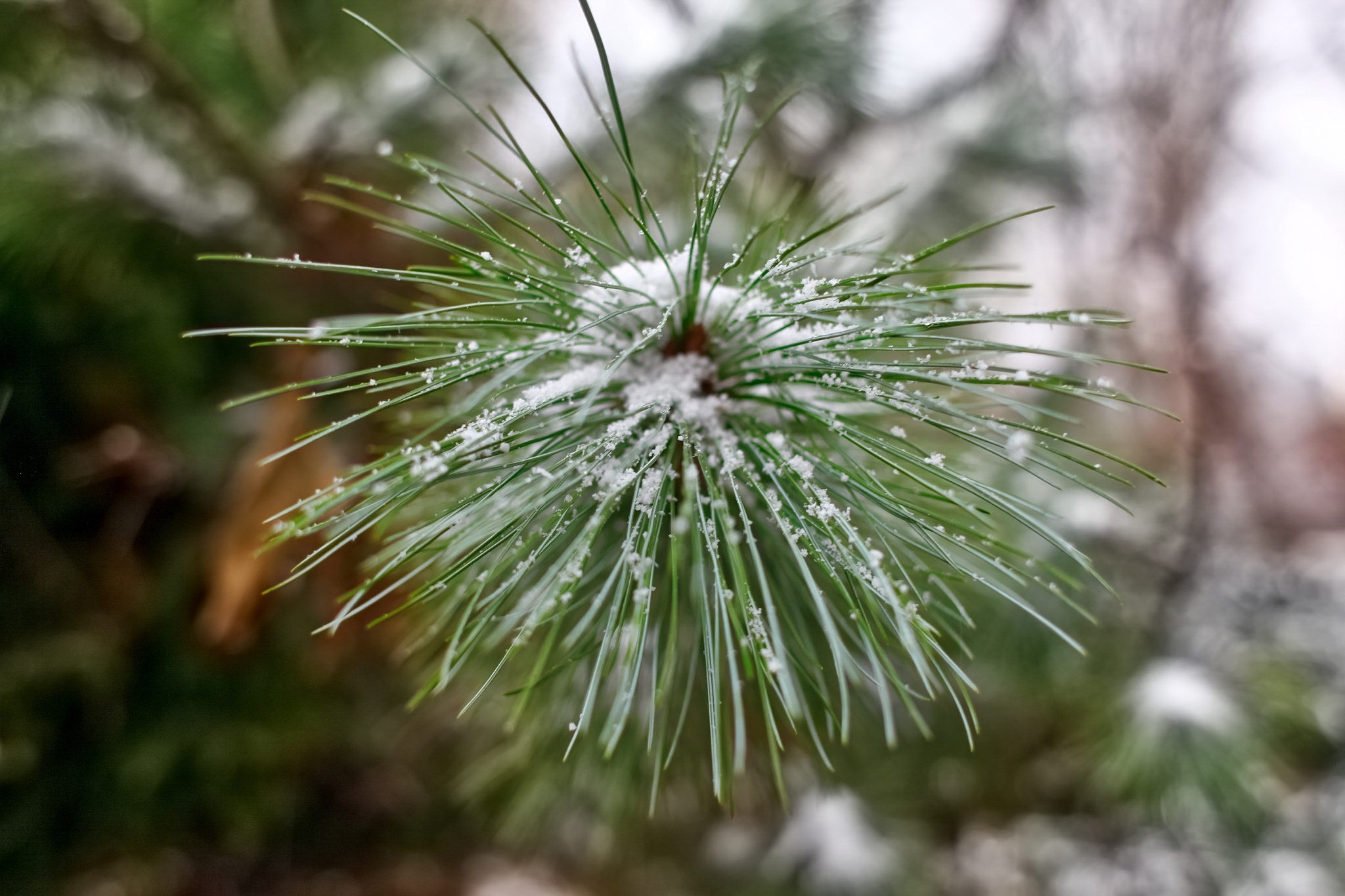 Canon EF 28mm F1.8 USM sample photo