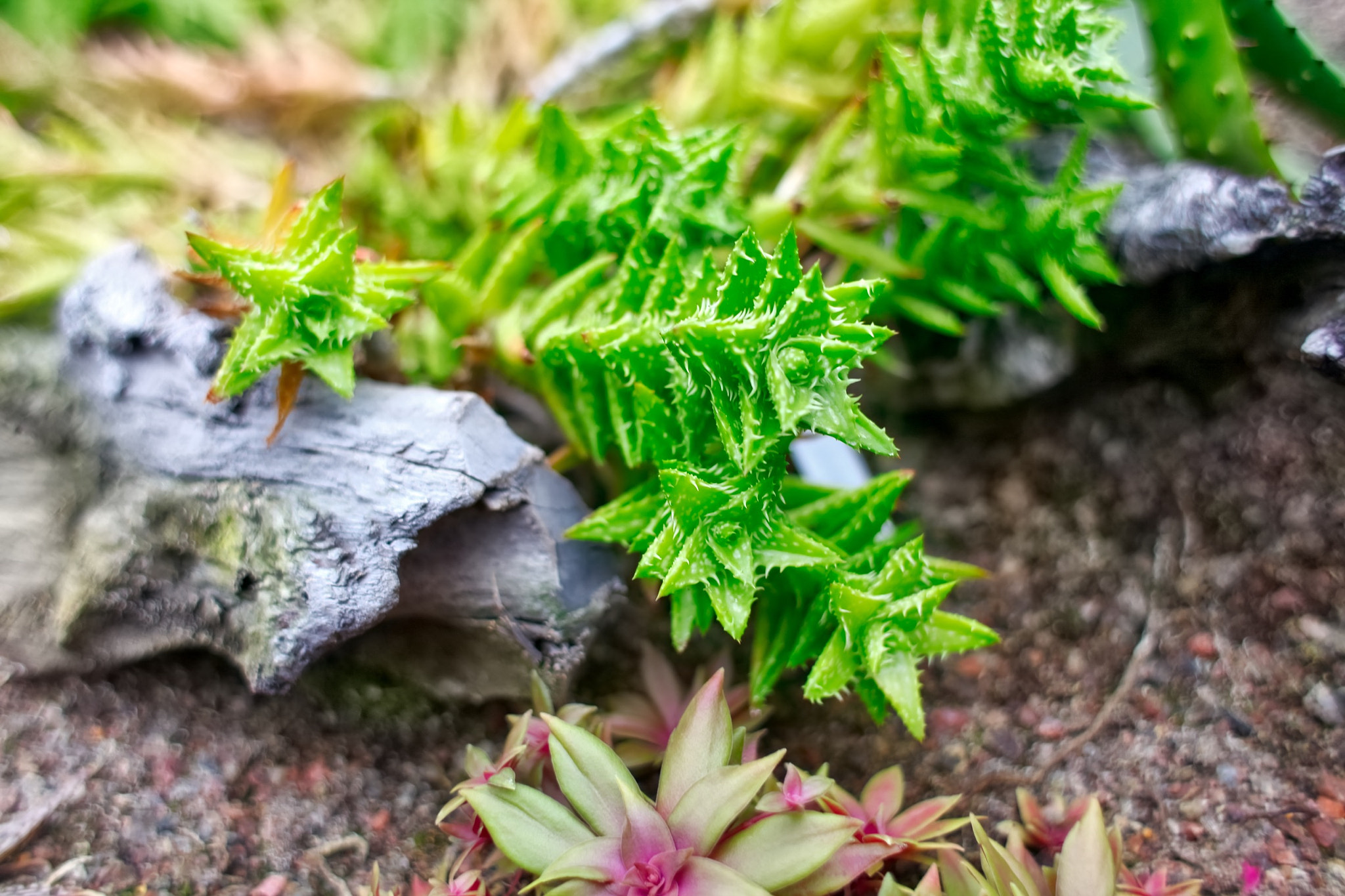 Canon EF 28mm F1.8 USM sample photo